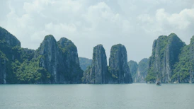 A body of water surrounded by mountains and trees