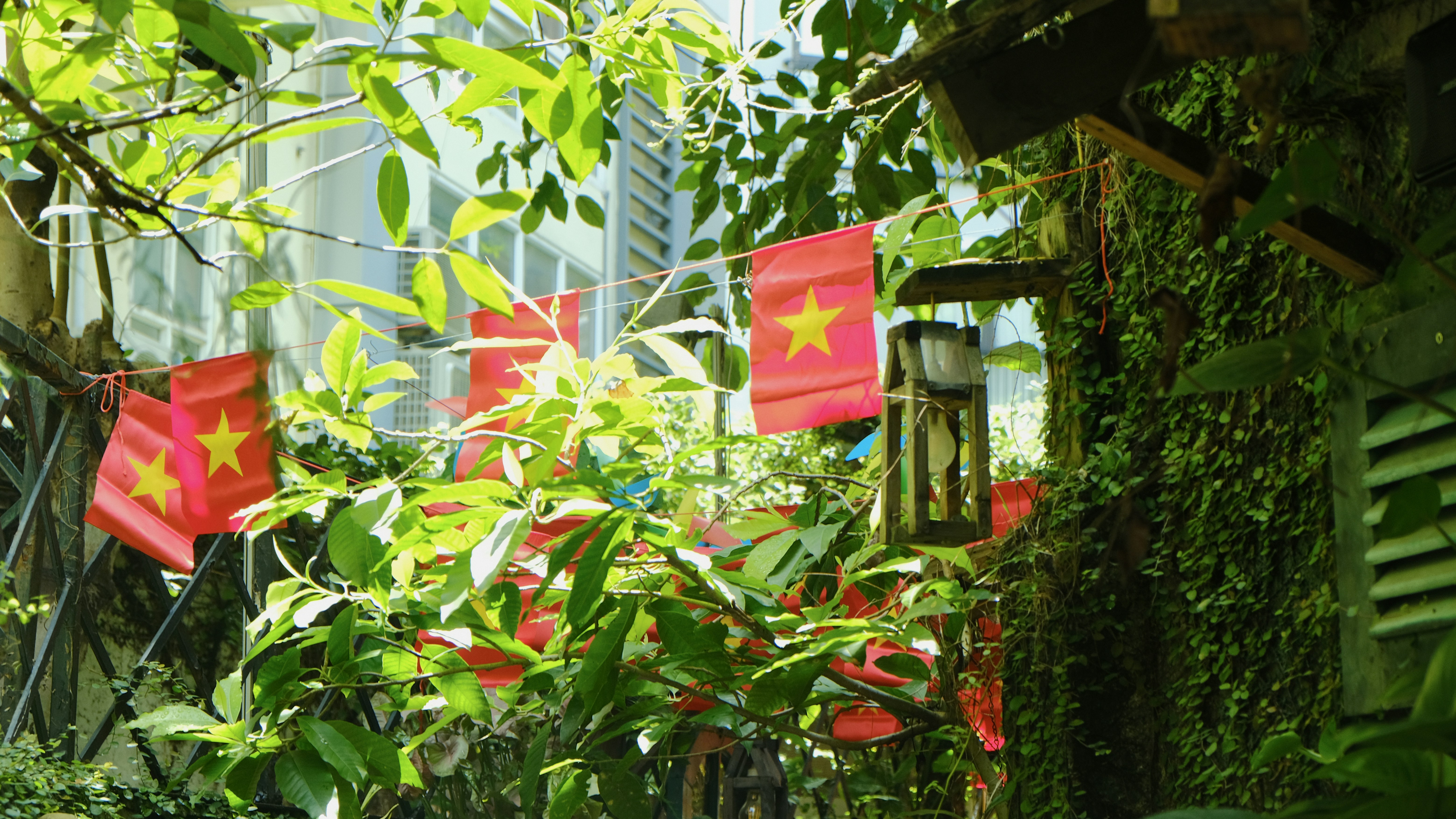 Sun Garden Chinese Menu