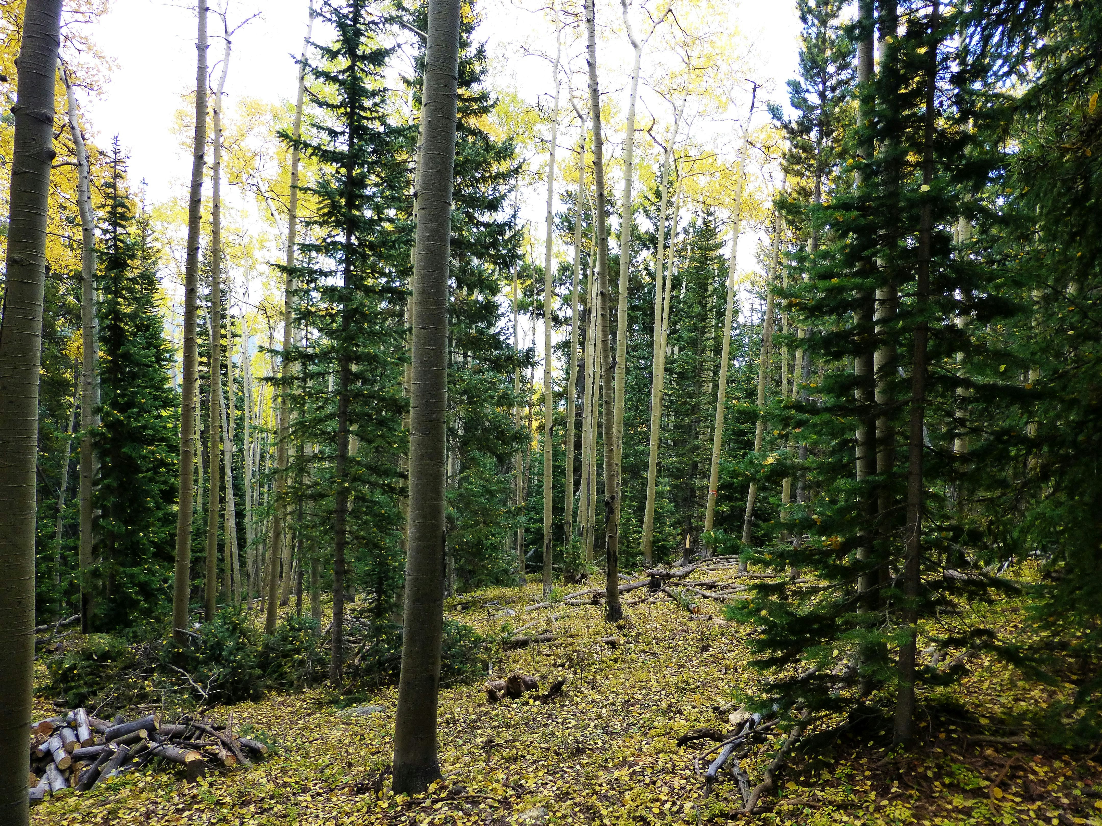 Photo by deniselynn_4