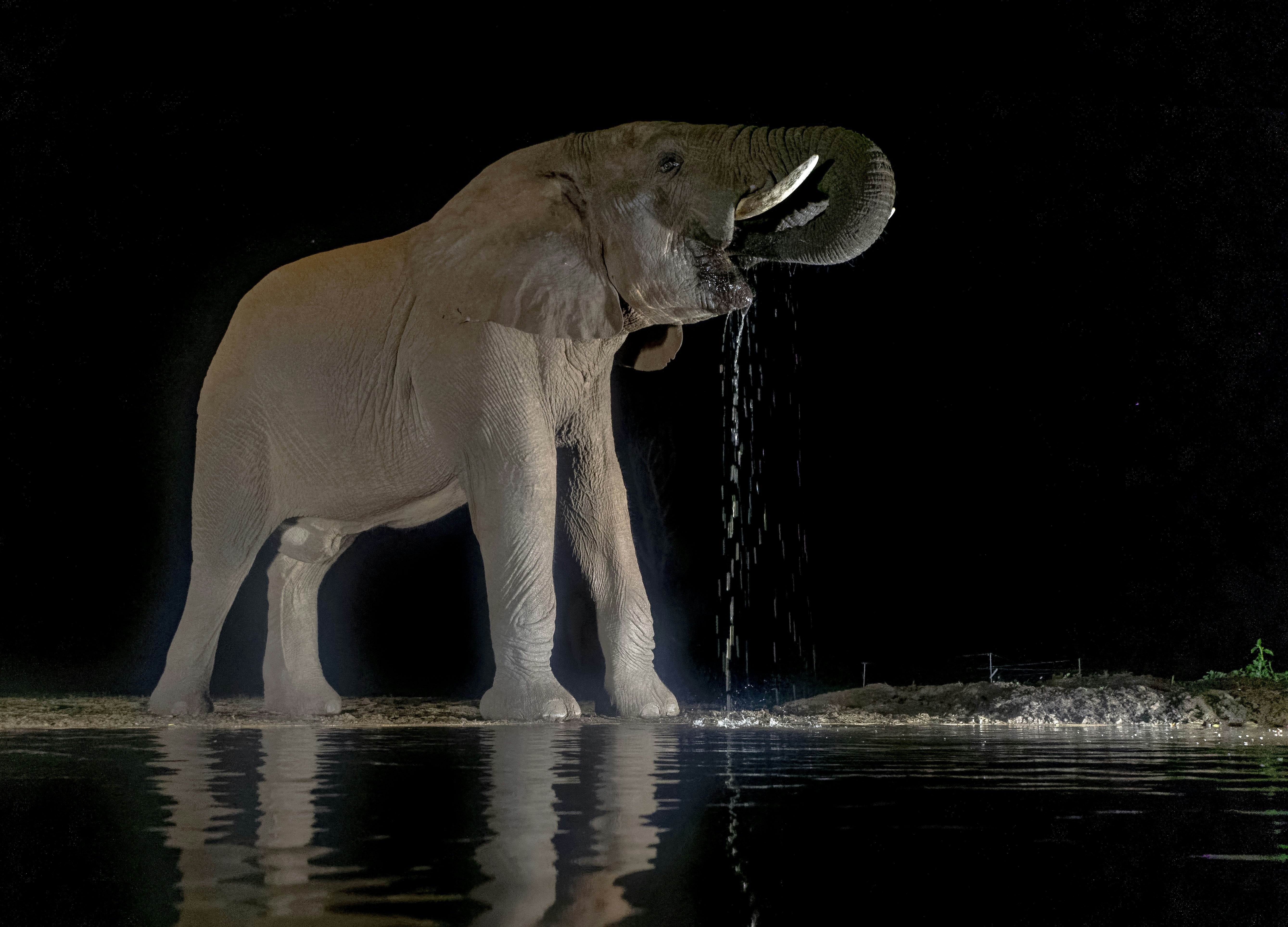 Memory and Navigation in Low Light Conditions (image credits: unsplash)