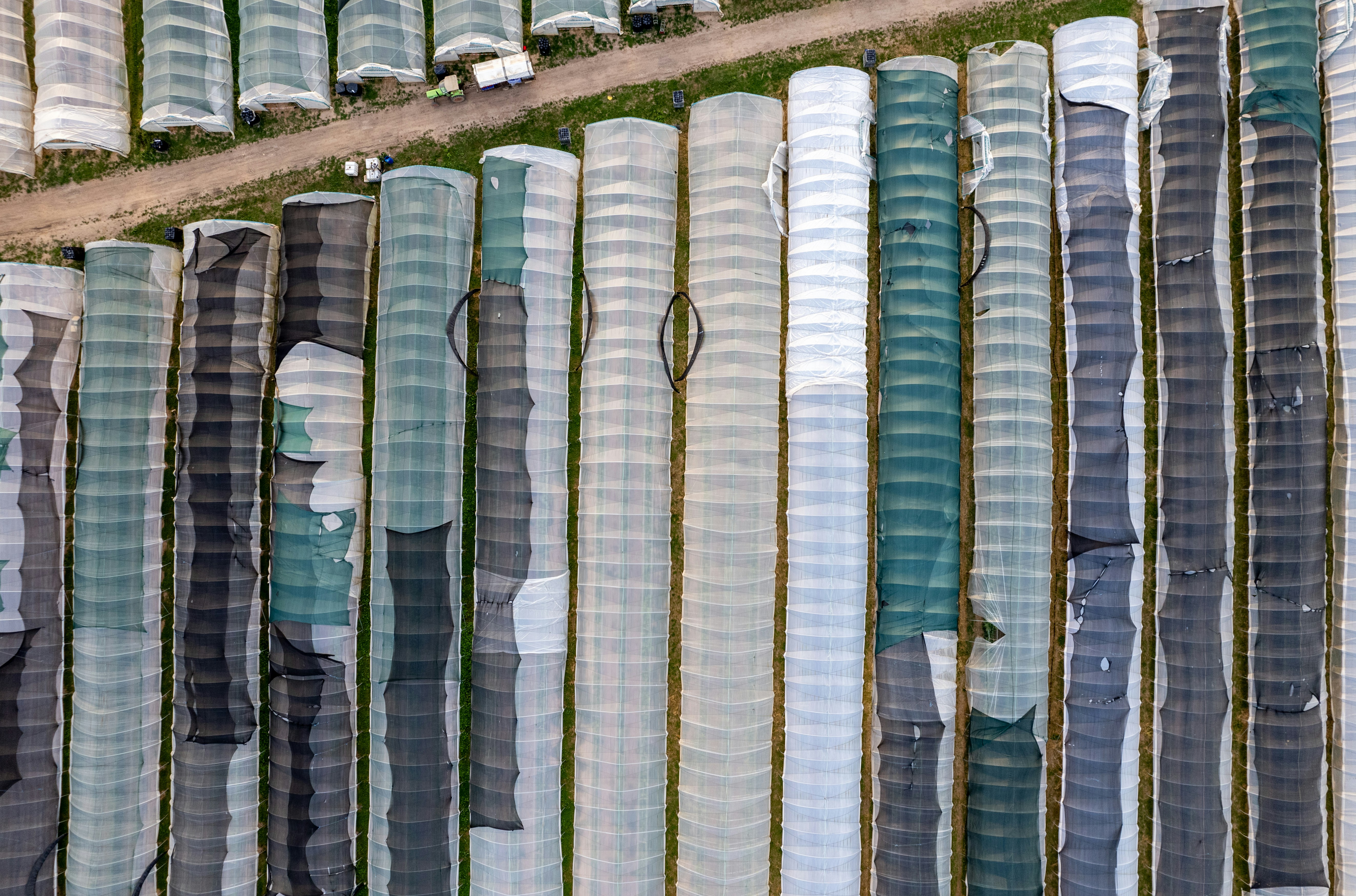 Modern greenhouse farming