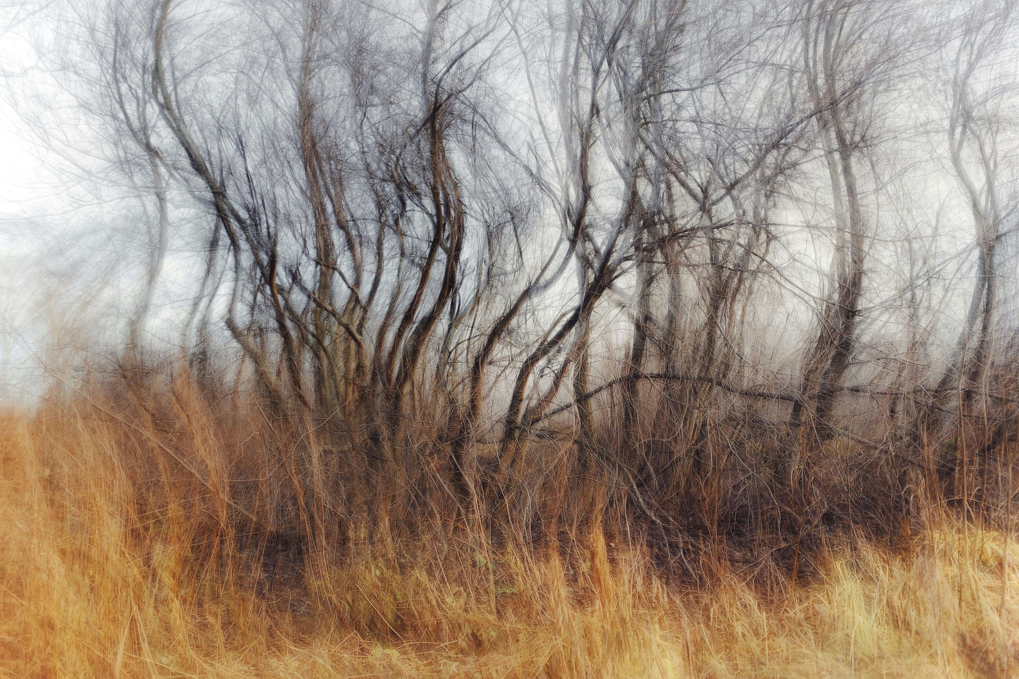 Photo by eugene_golovesov