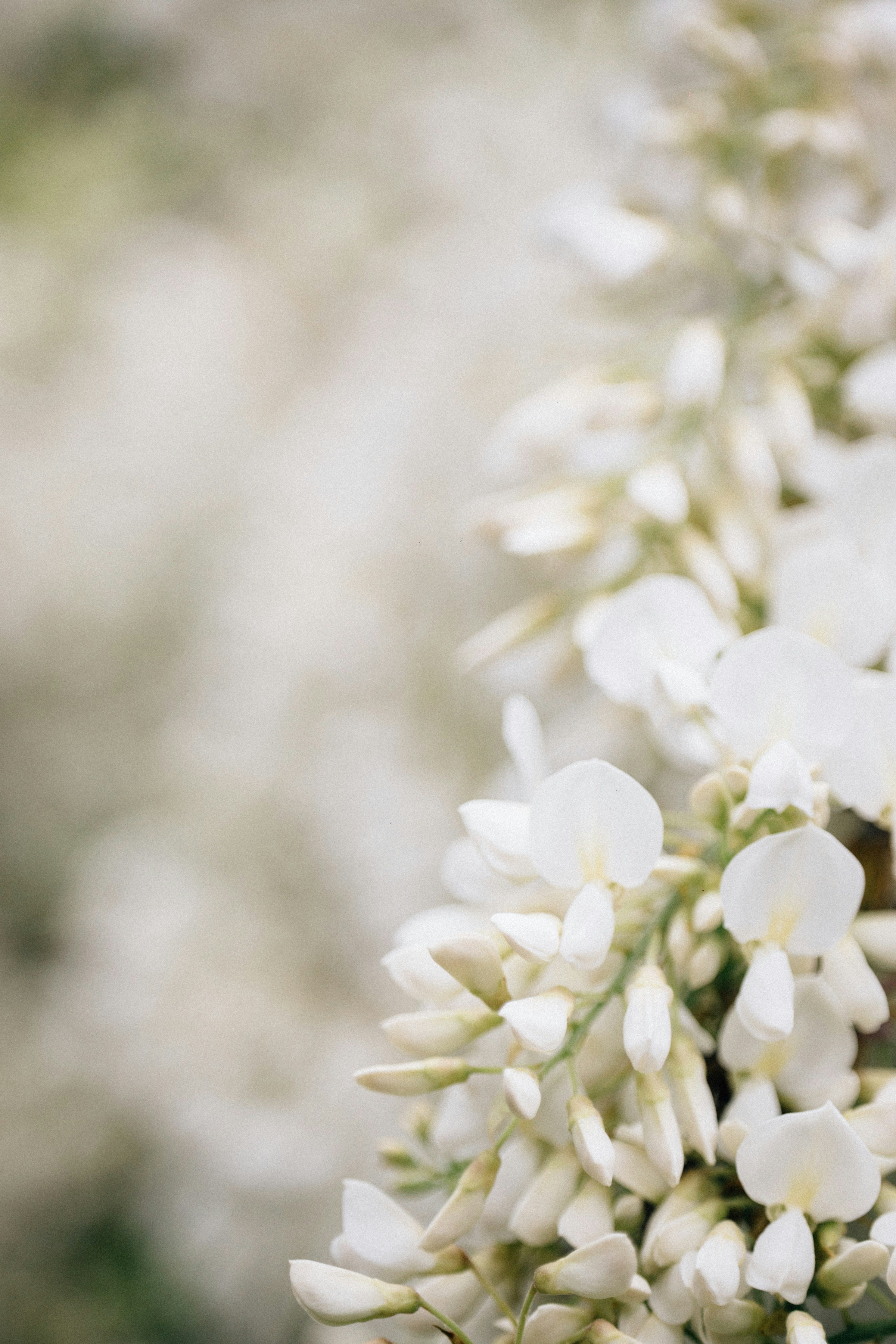 Photo by tsuyoshikozu