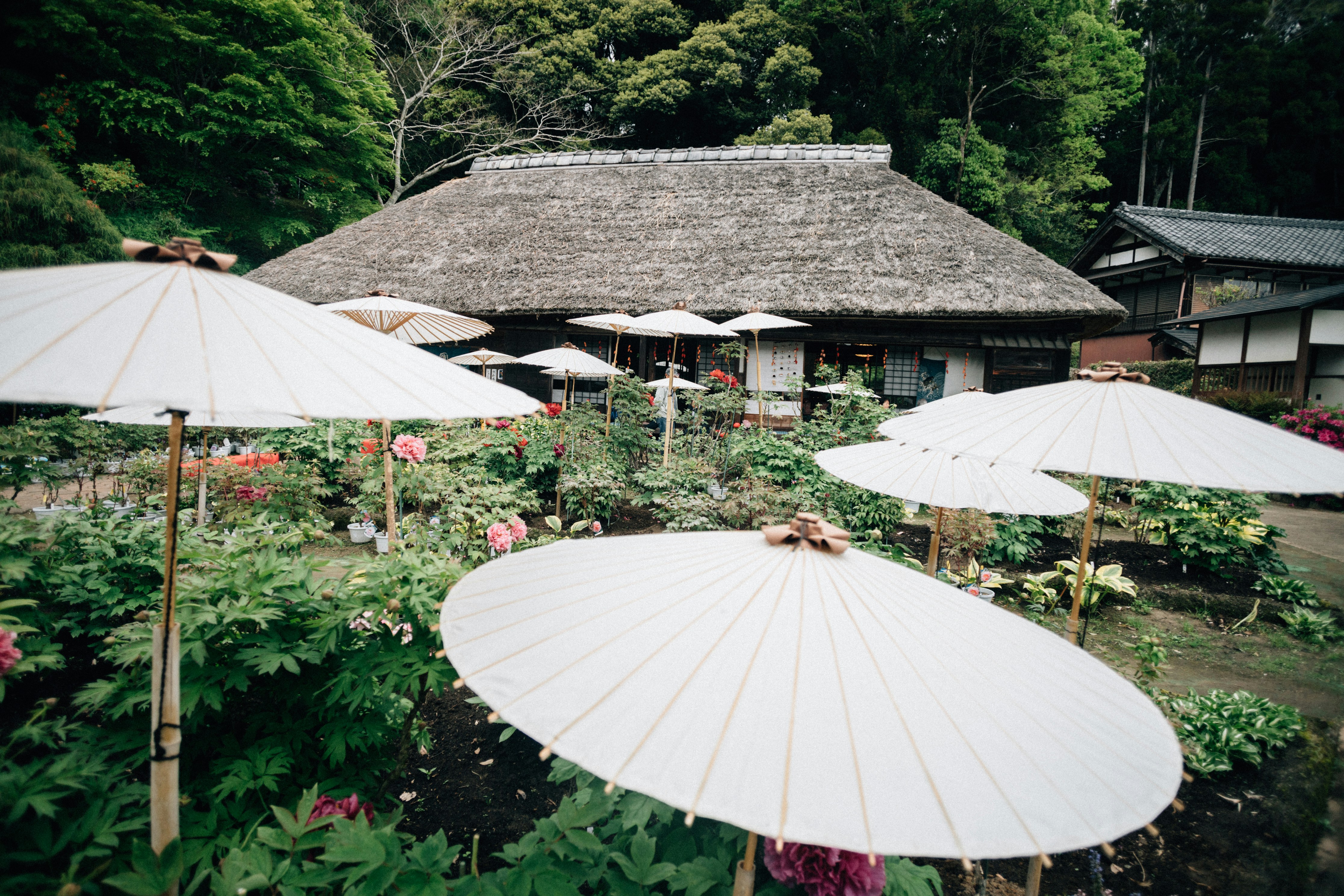 Glamping Dome and Eco-Lodge in Japan