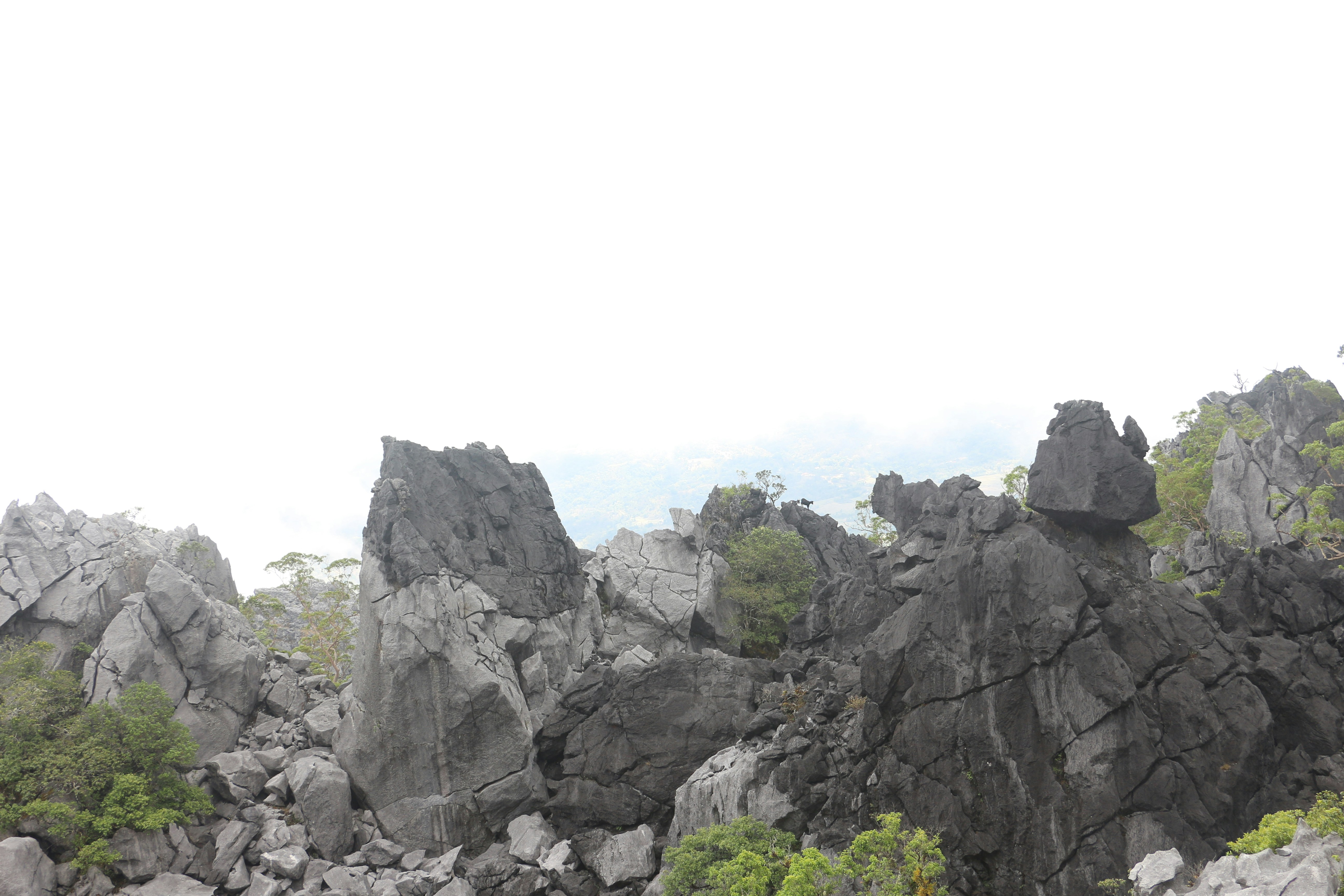 Photo by jaimegusmao