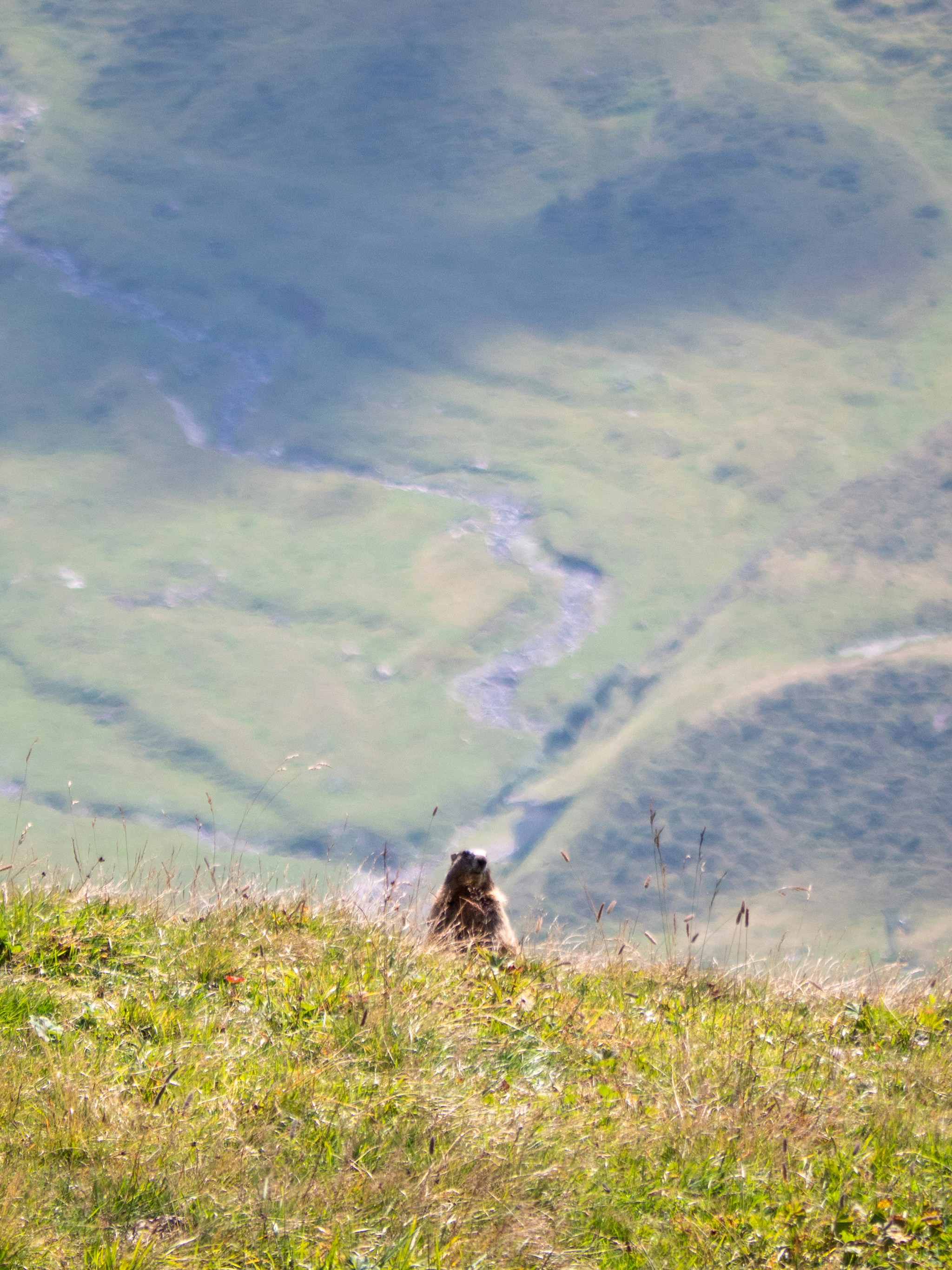 Photo by bengrayland