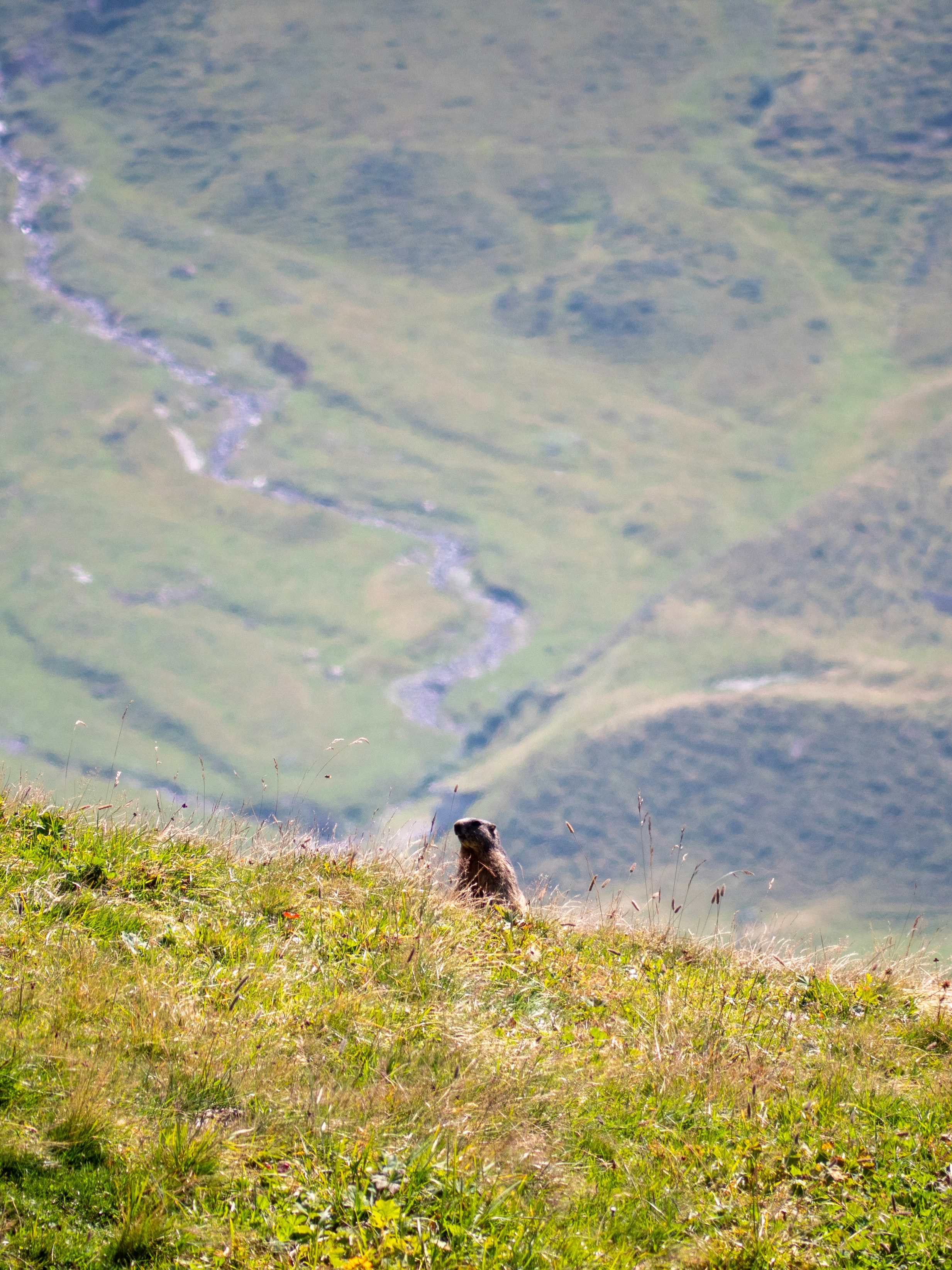 Photo by bengrayland