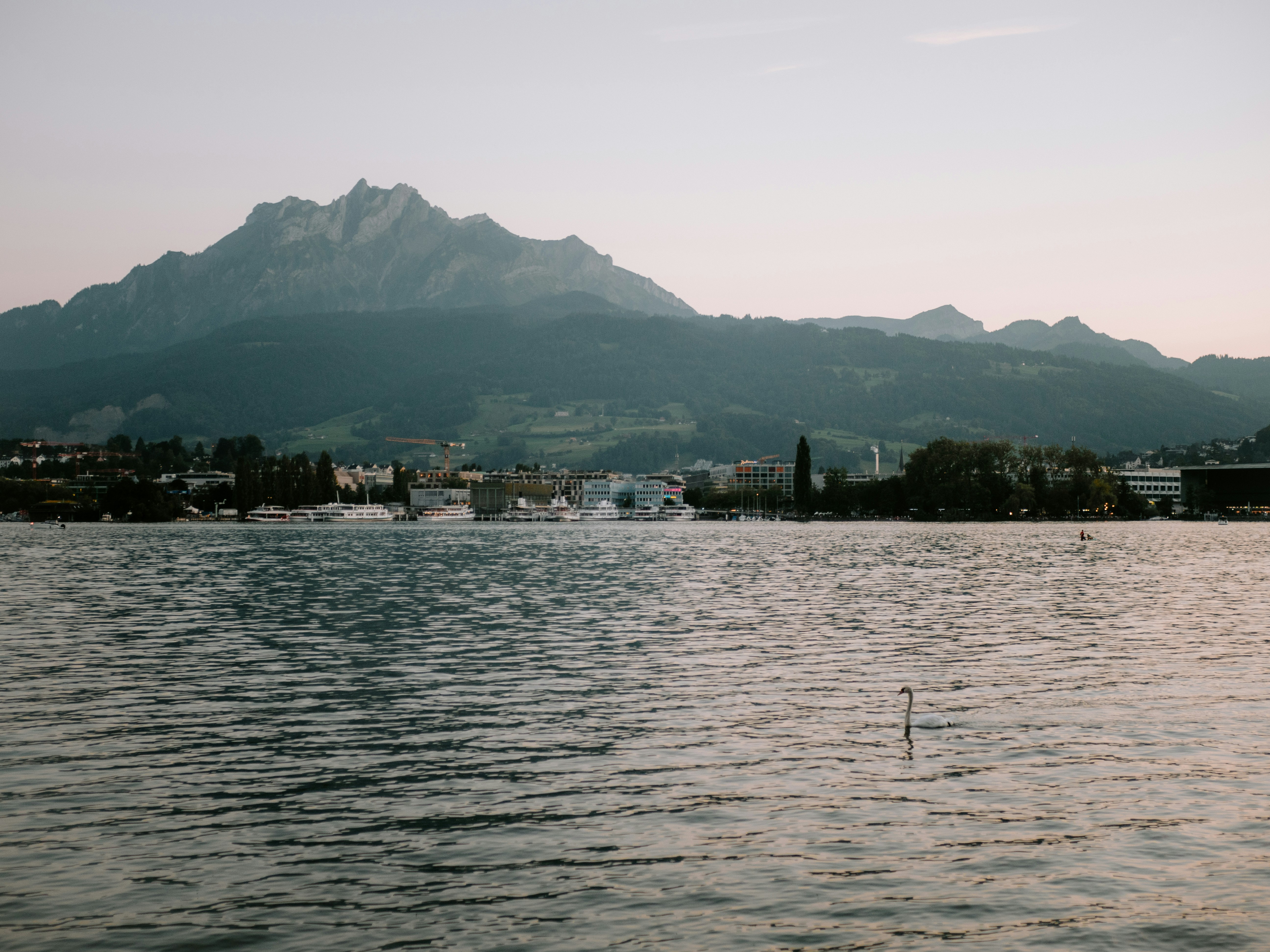 Photo by bengrayland