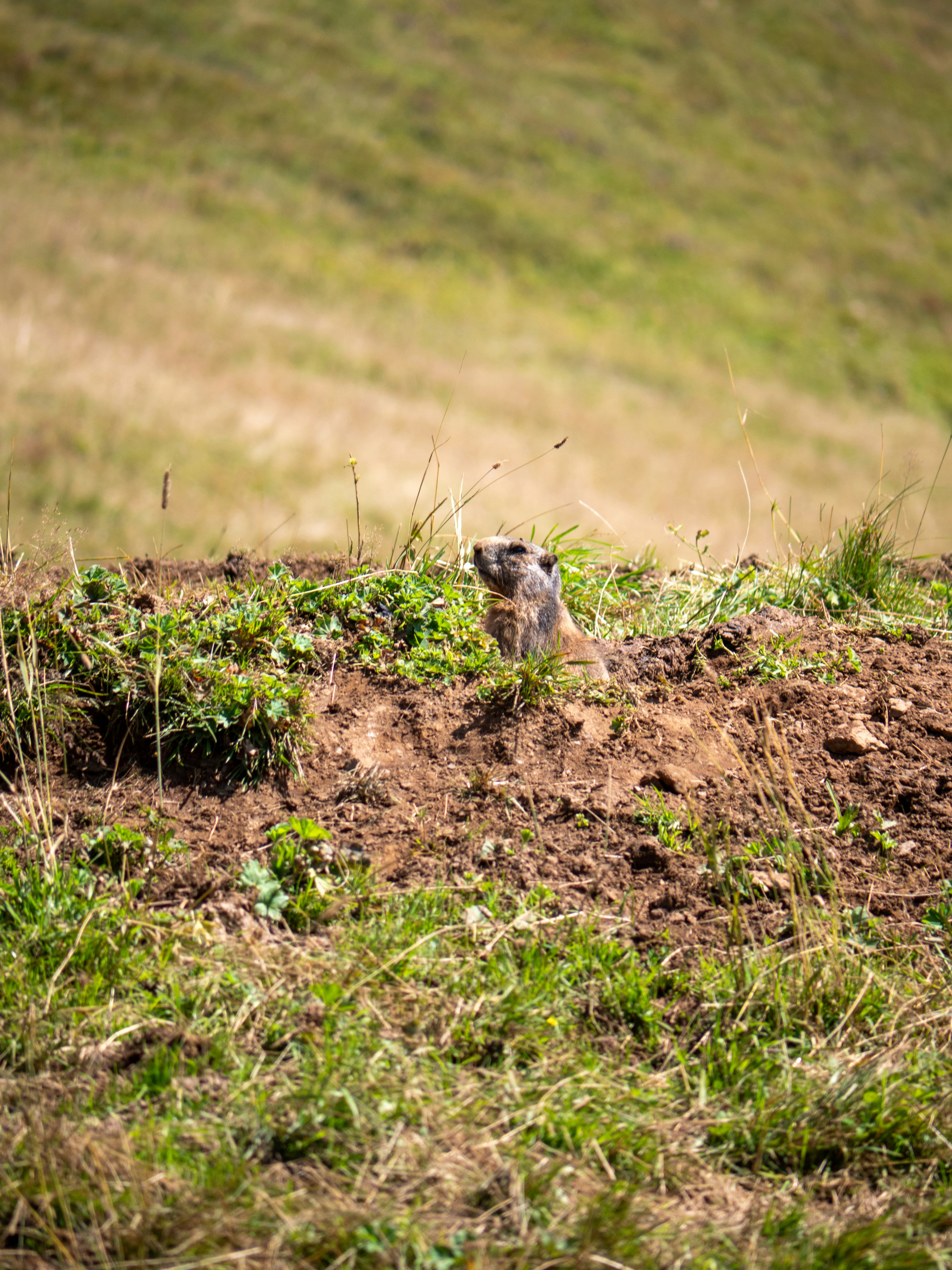 Photo by bengrayland