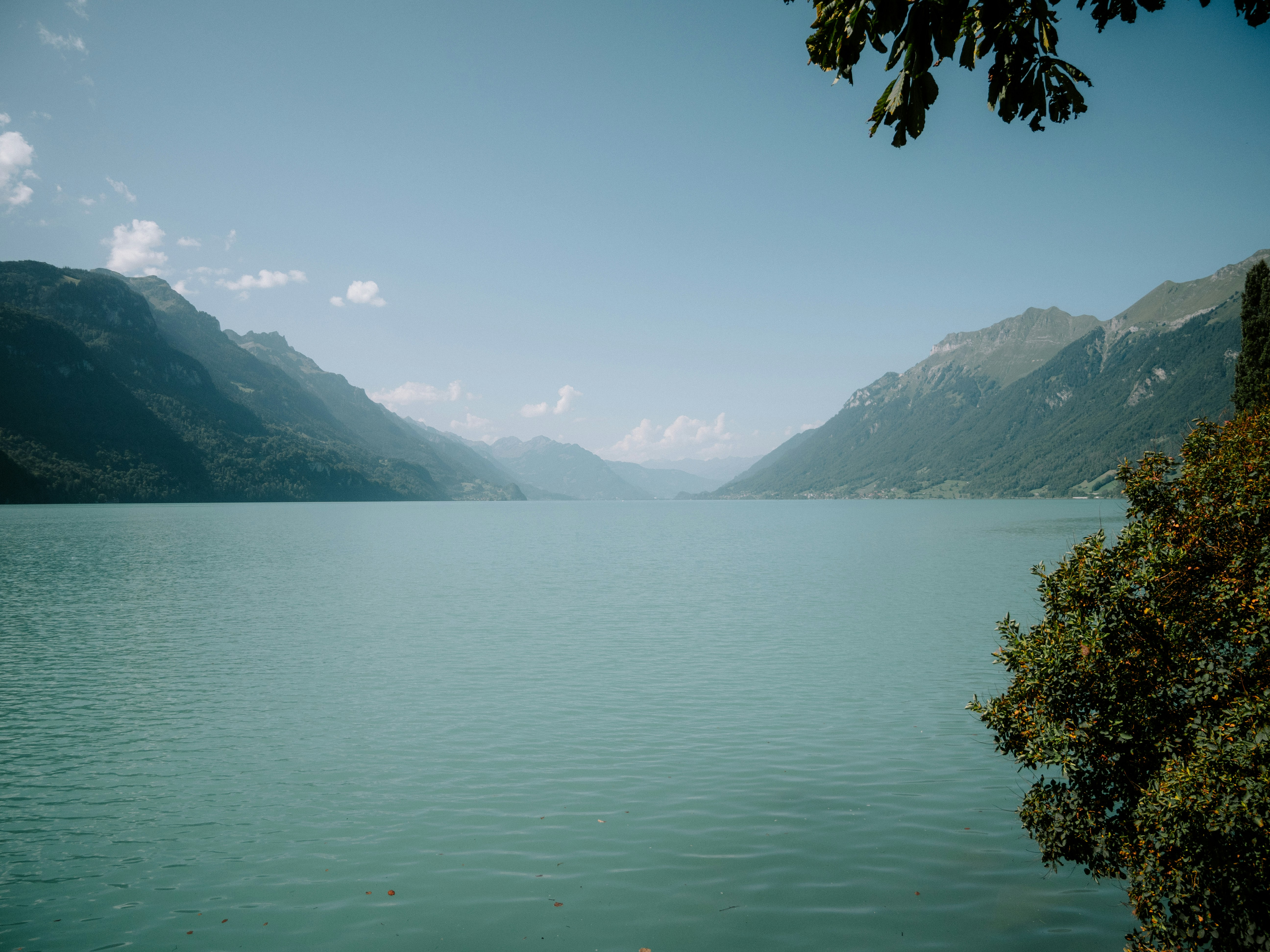 Photo by bengrayland