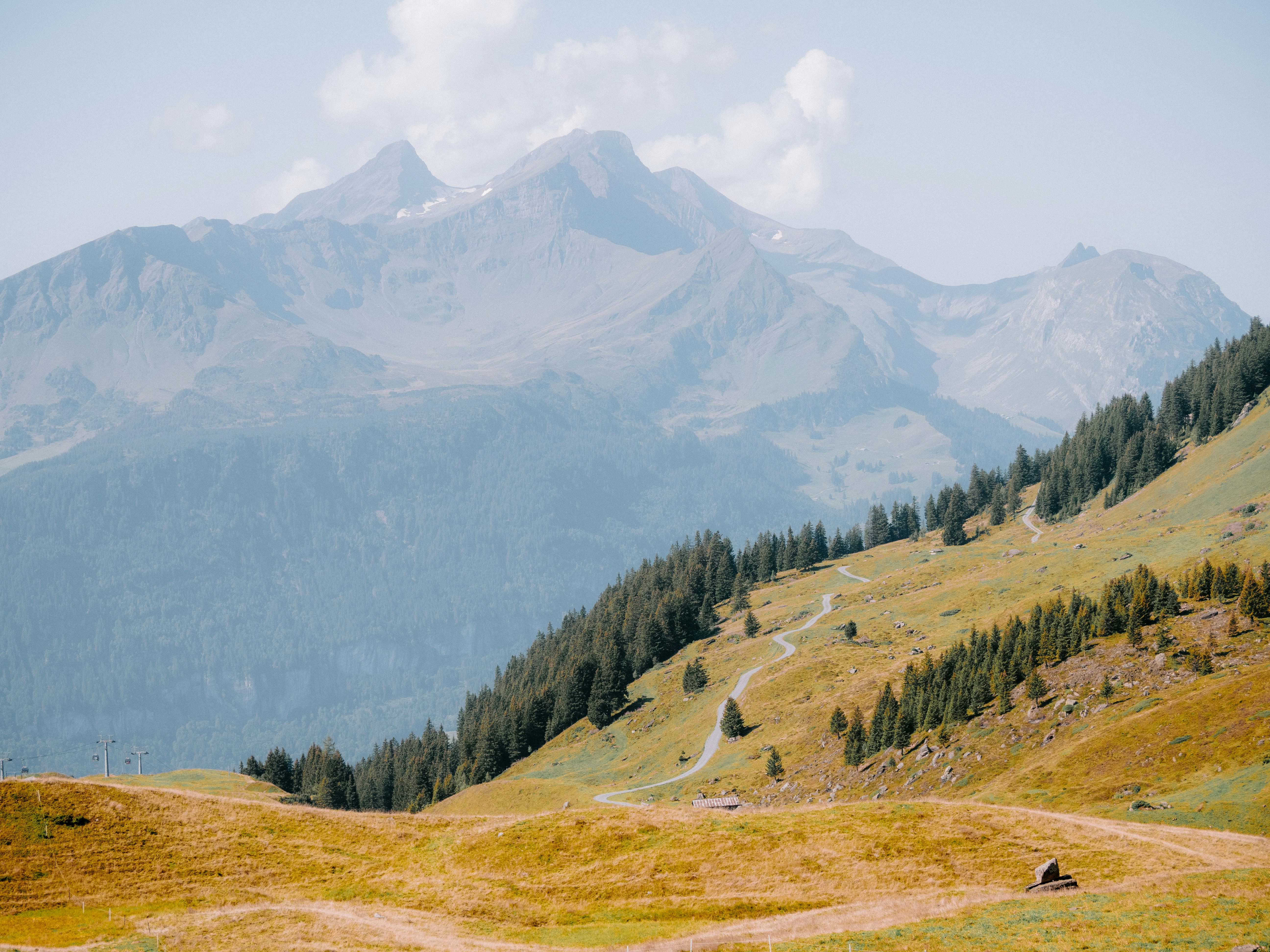 Photo by bengrayland