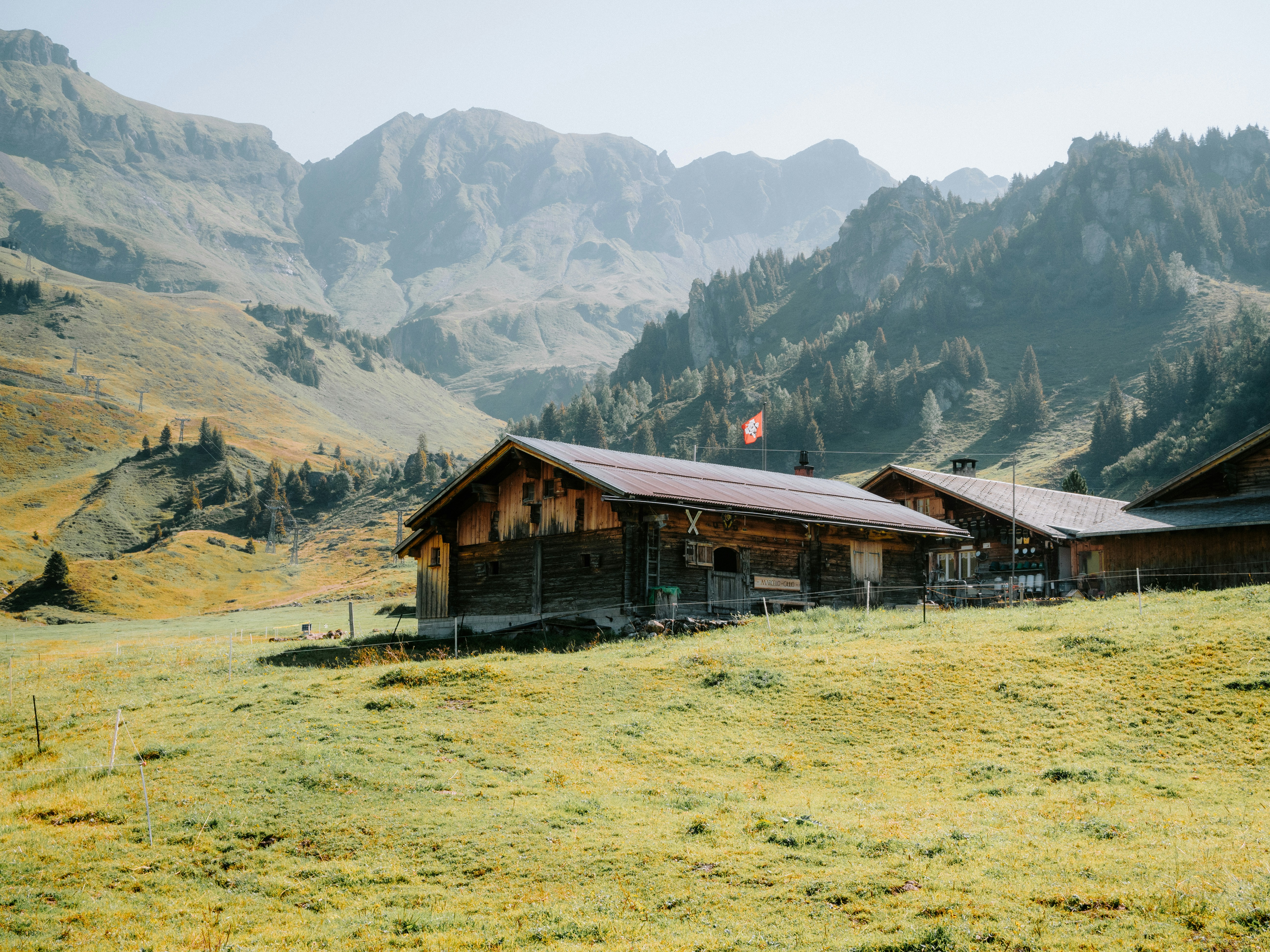 A grassy field with a mountain range in the background