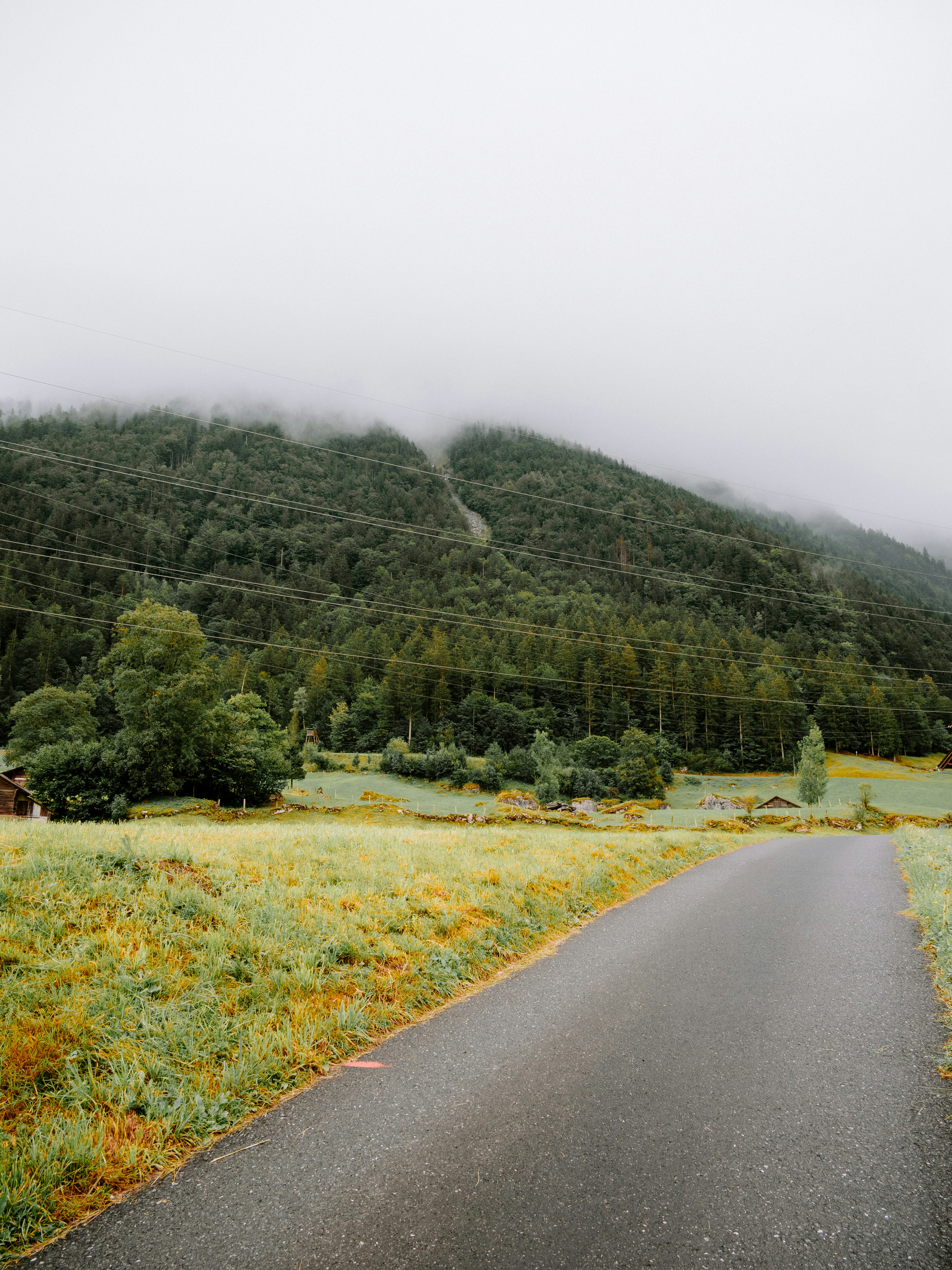 Photo by bengrayland