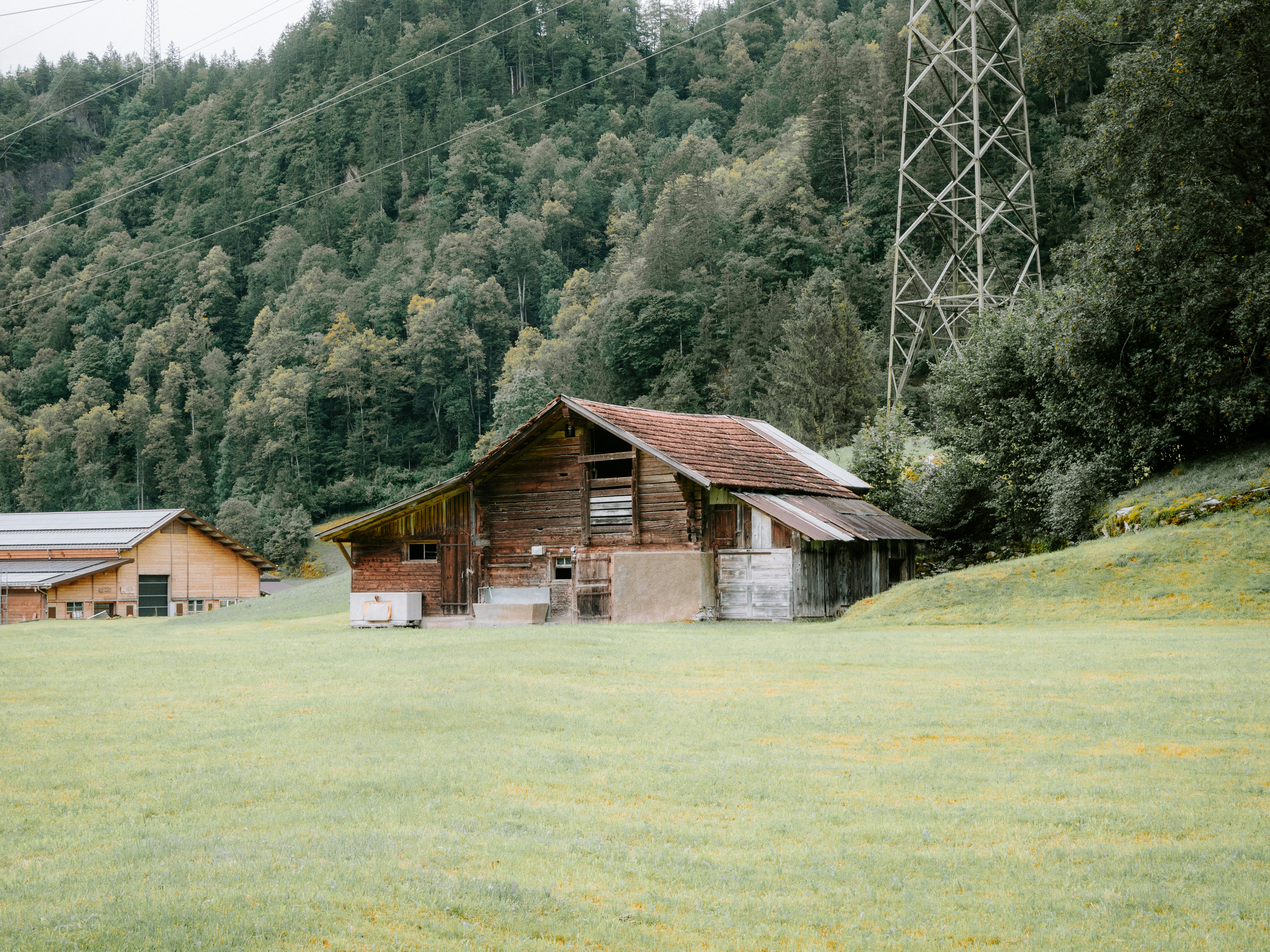 Photo by bengrayland