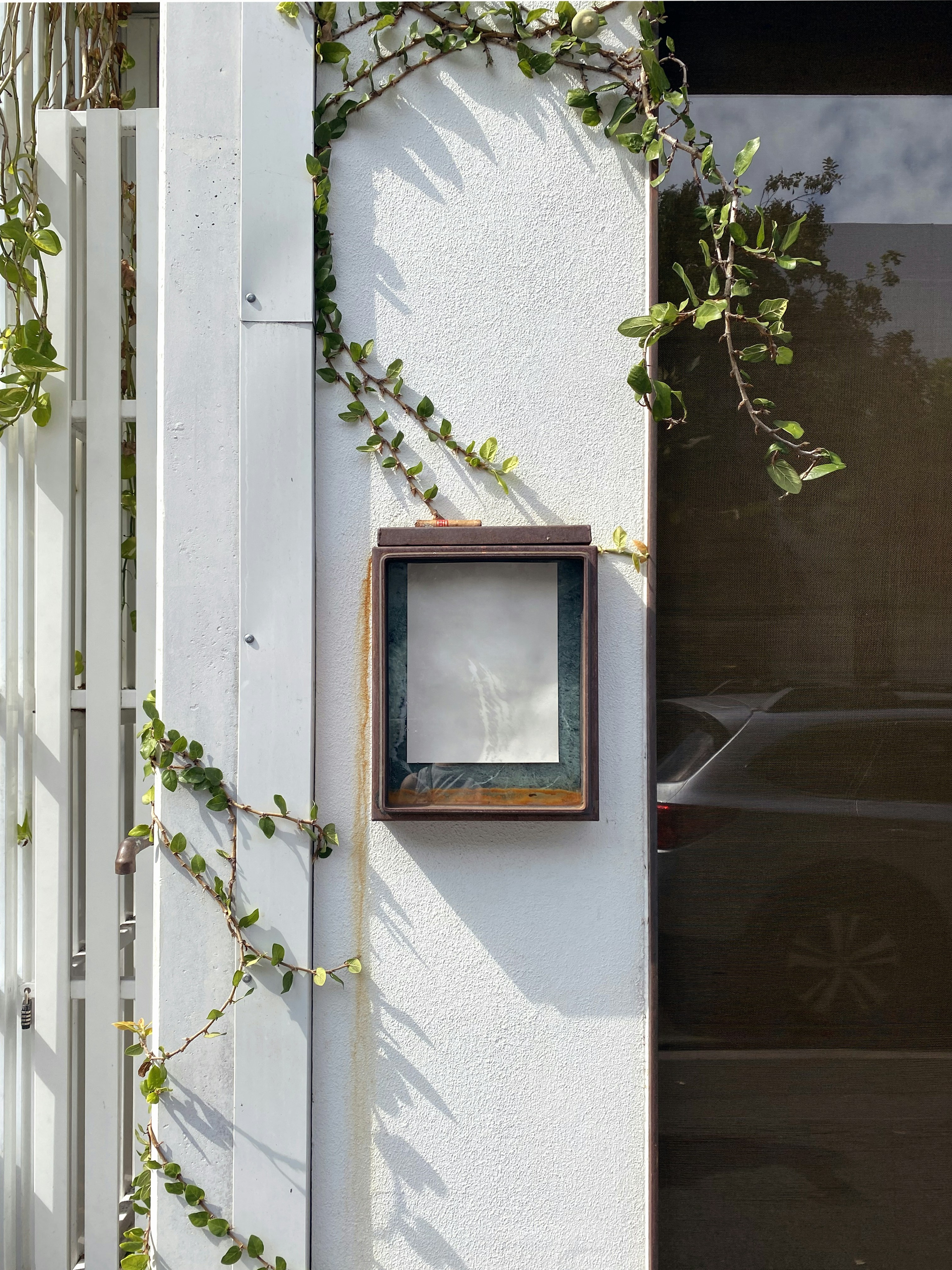 A white building with vines growing on the side of it