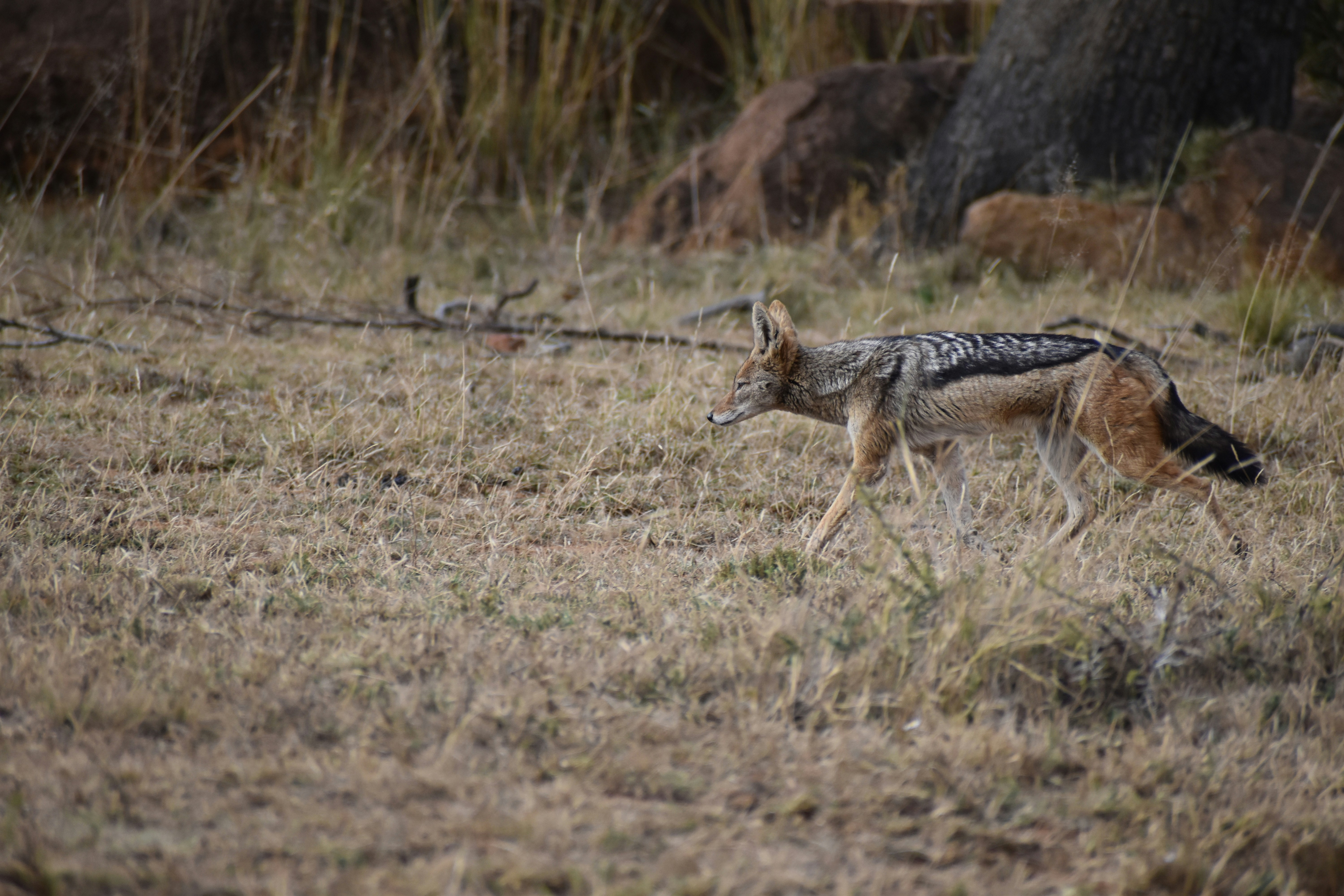 Photo by capturedmemory