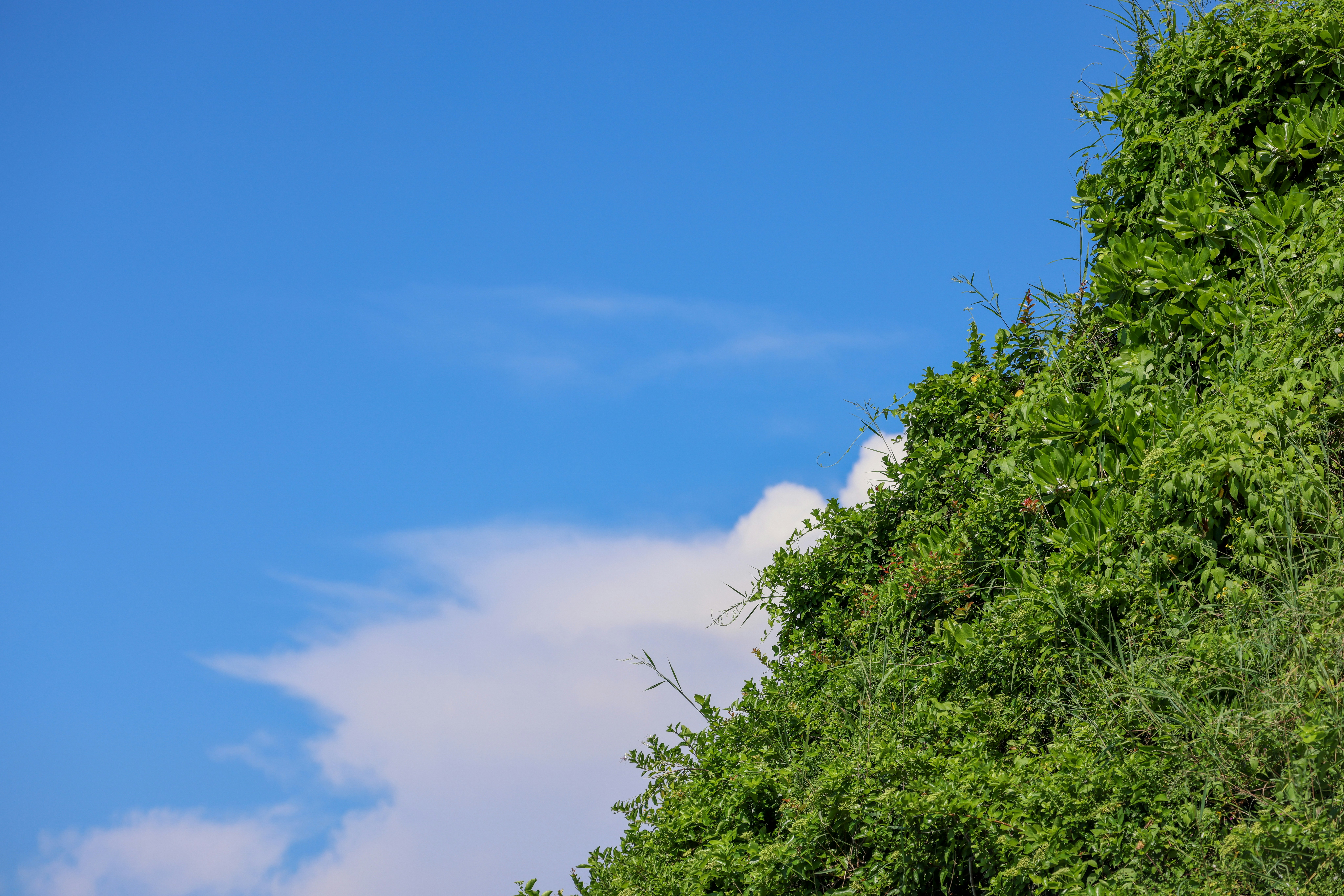 Photo by dickenslin76