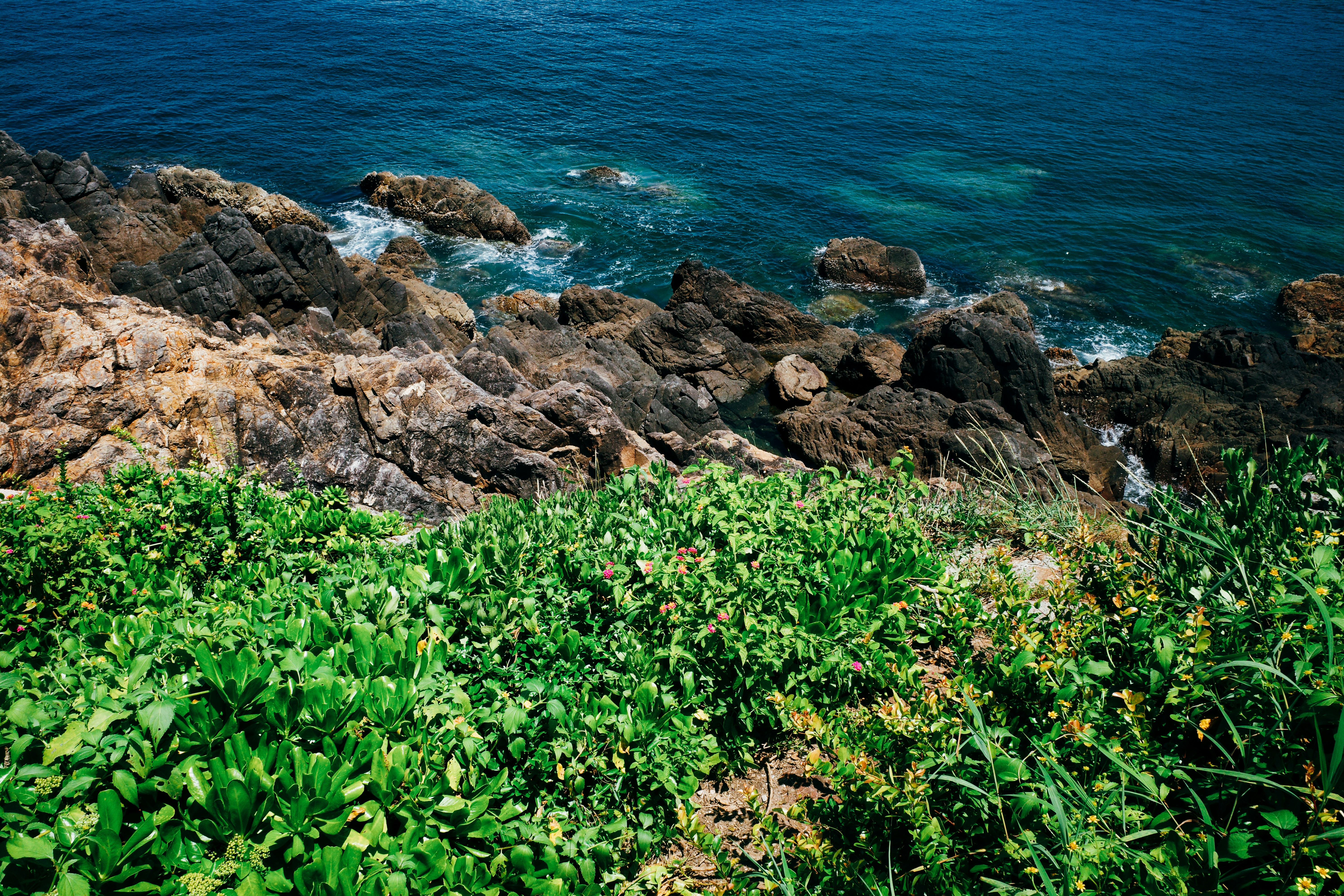 Photo by dickenslin76