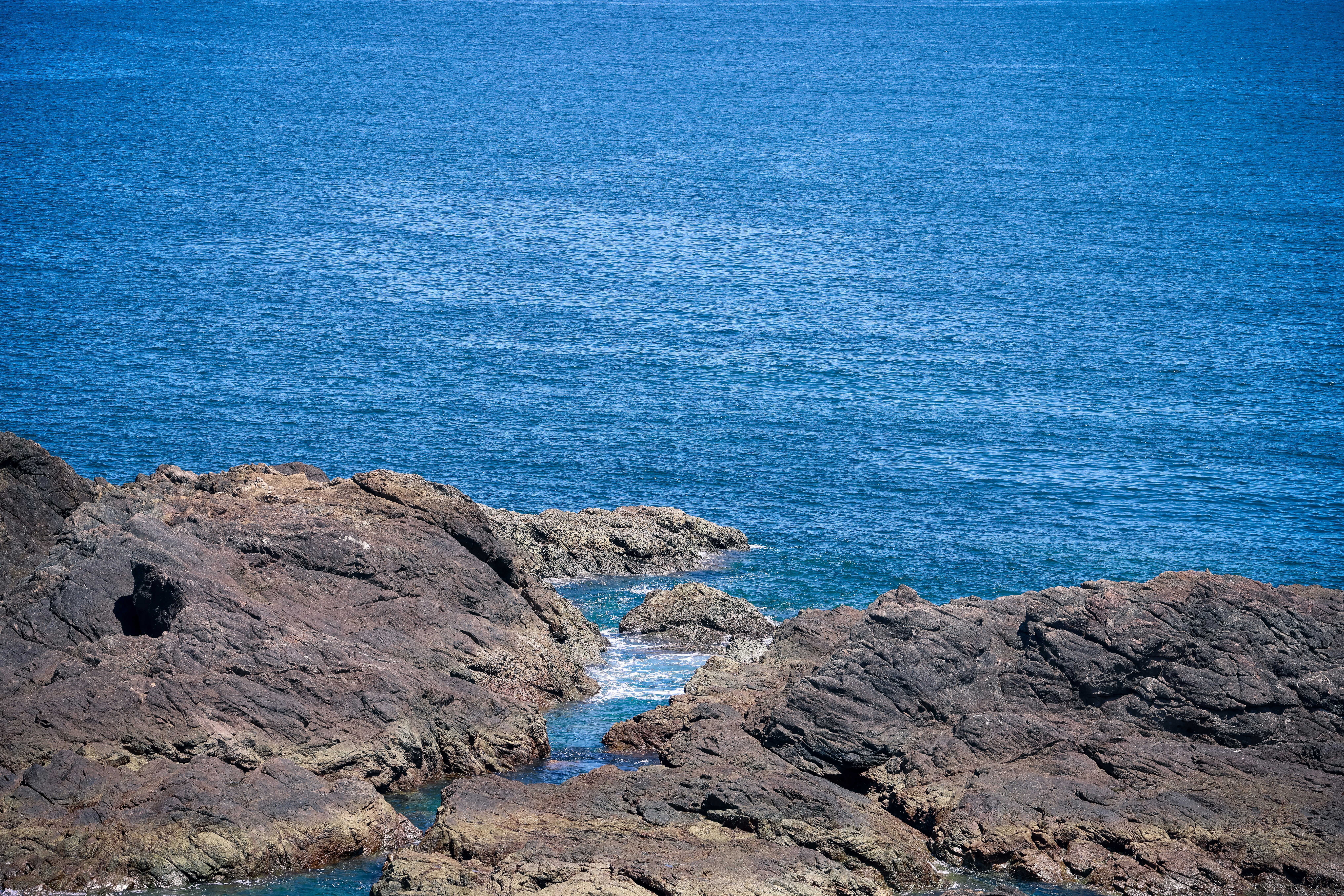 Photo by dickenslin76