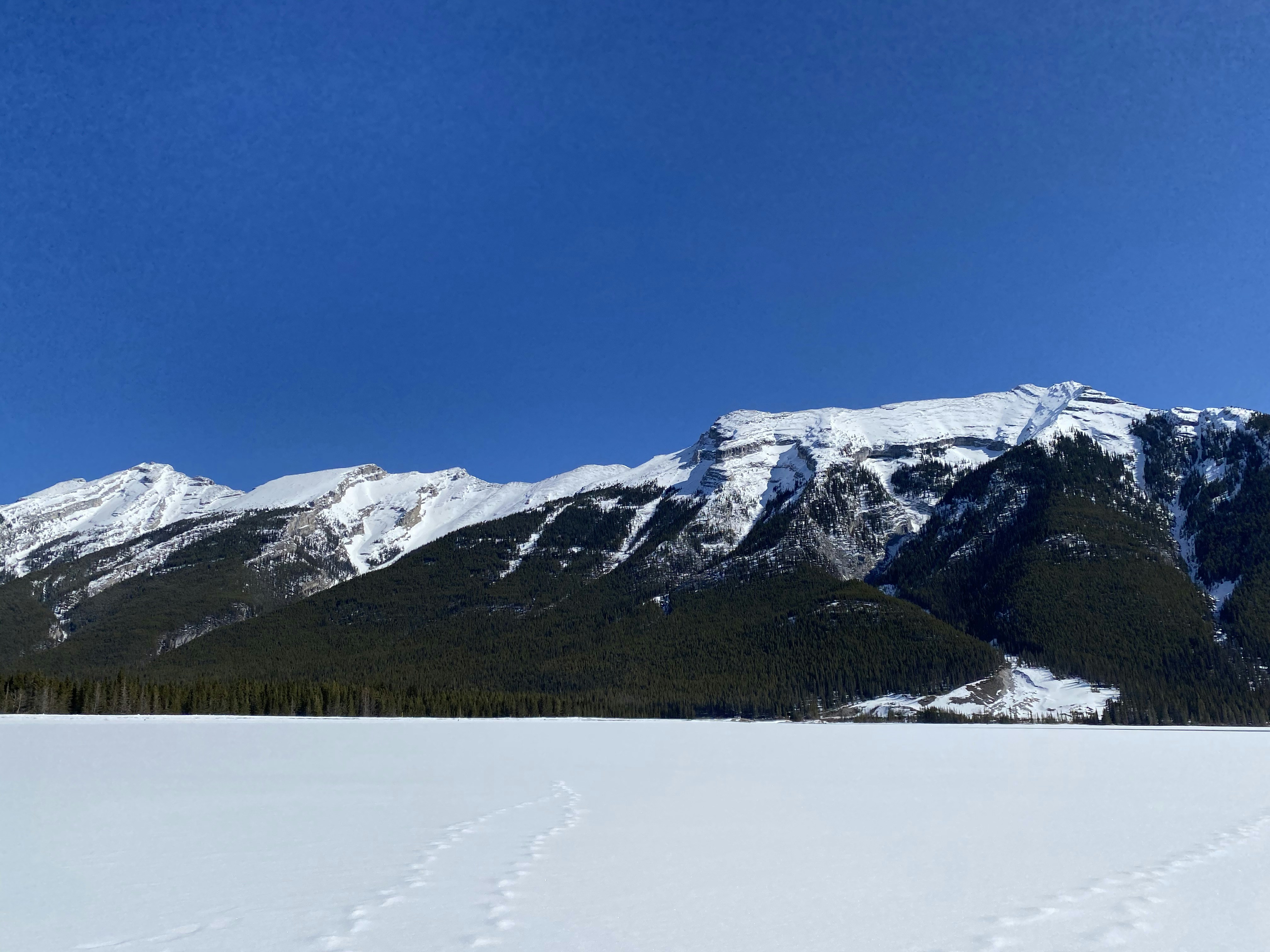 Photo by amywoodward_