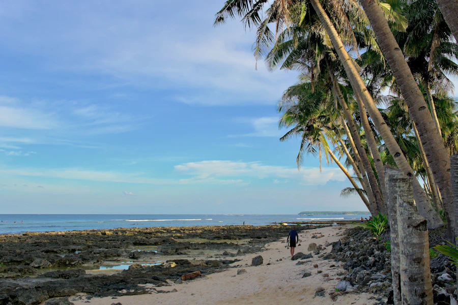 Surf and the island tour