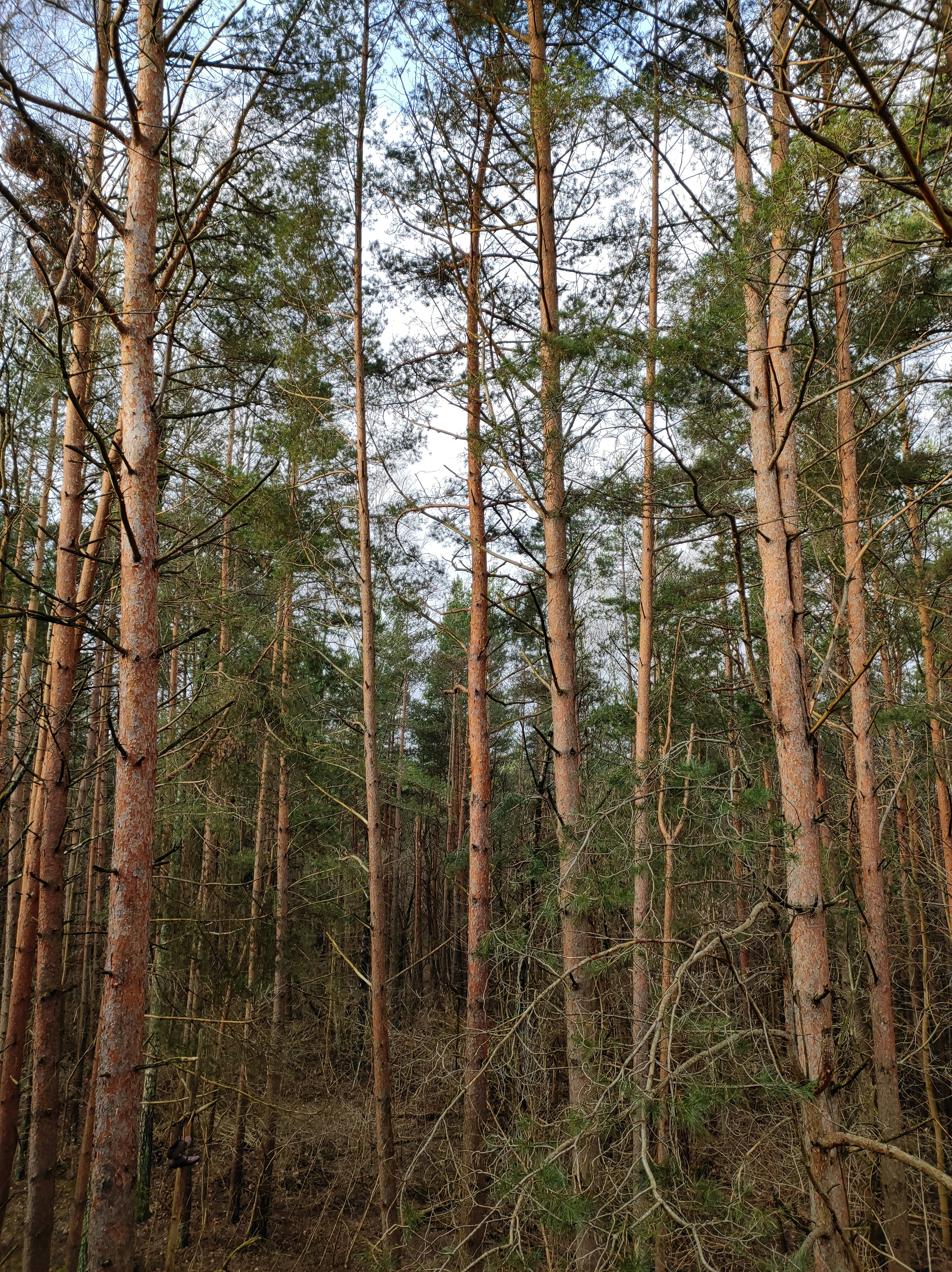 Photo by angelbalashev