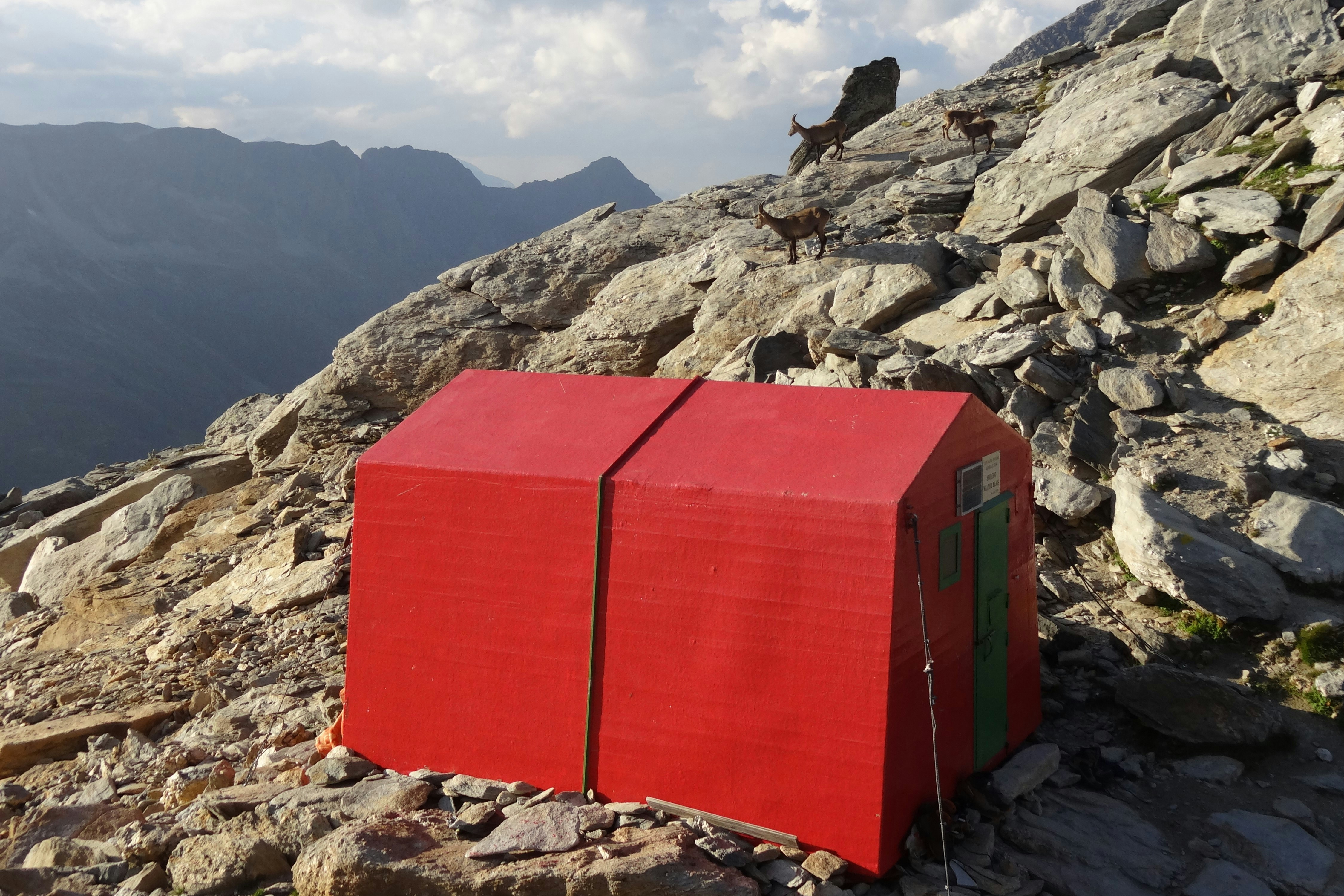 Camping gear storage box, ilustrasi artikel Conquer the Elements: The Best Weather-Resistant Storage Bins for Your Camping Adventures 4