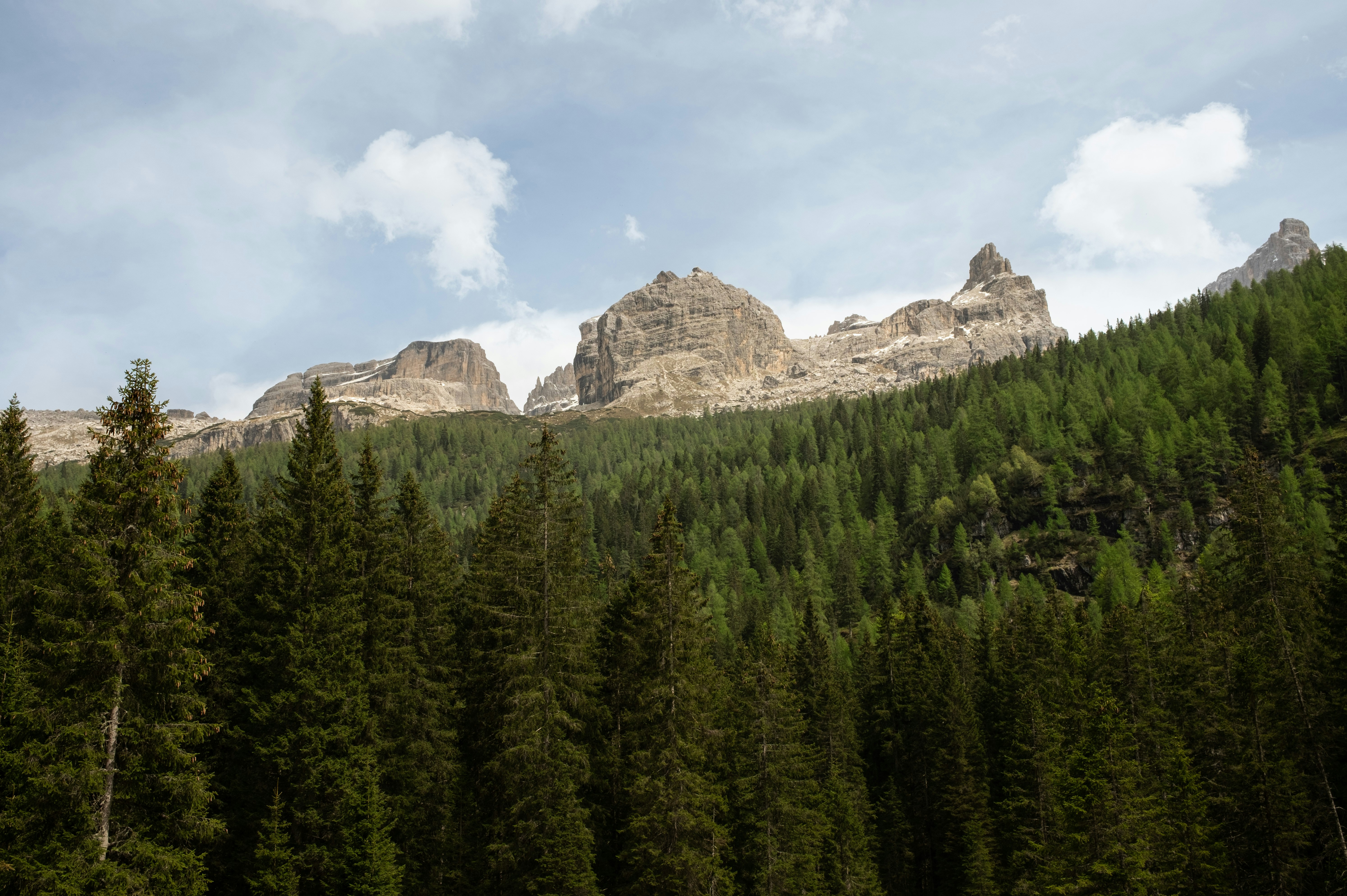 Photo by lauralezman