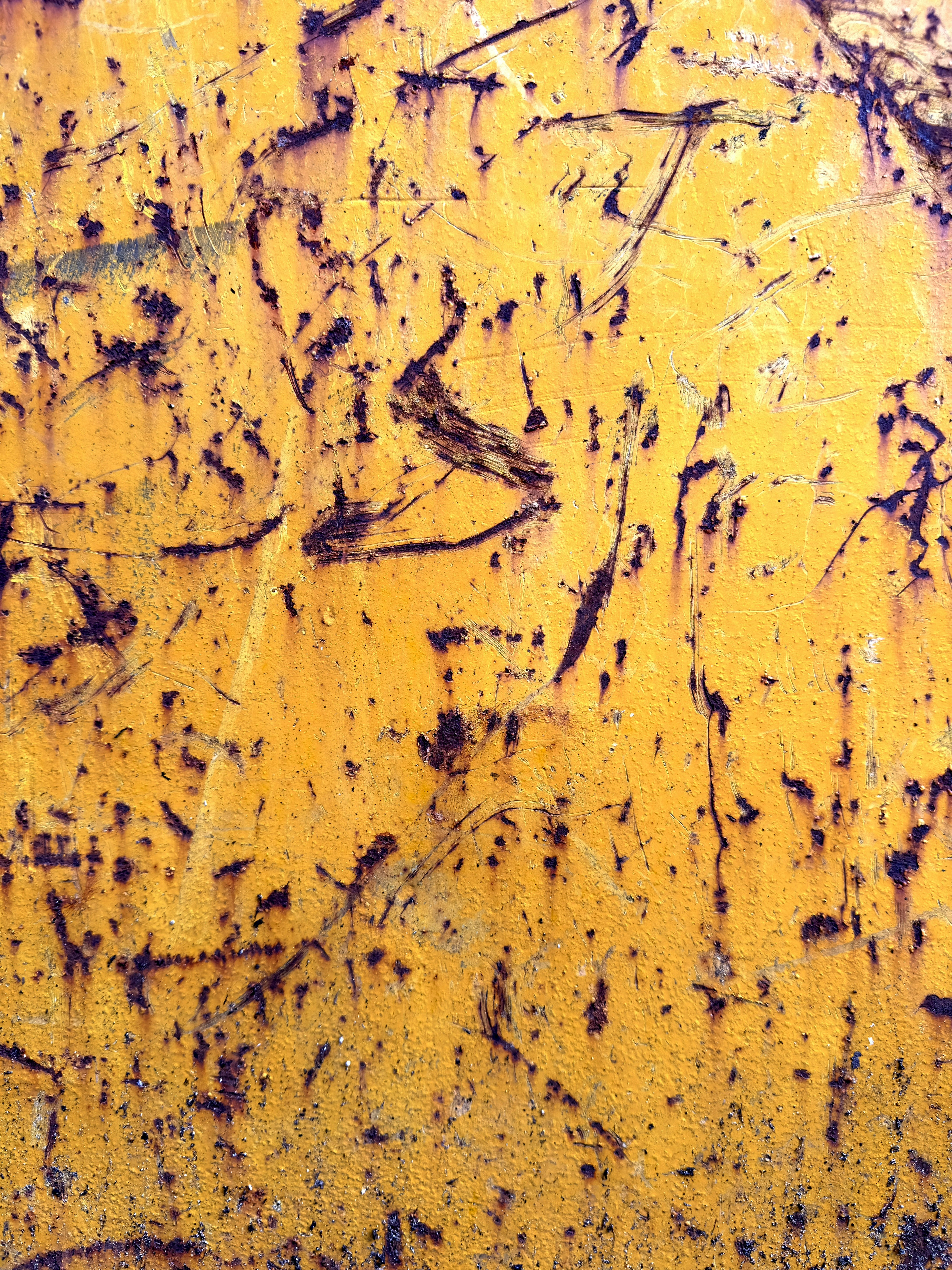 Photo by david_underland