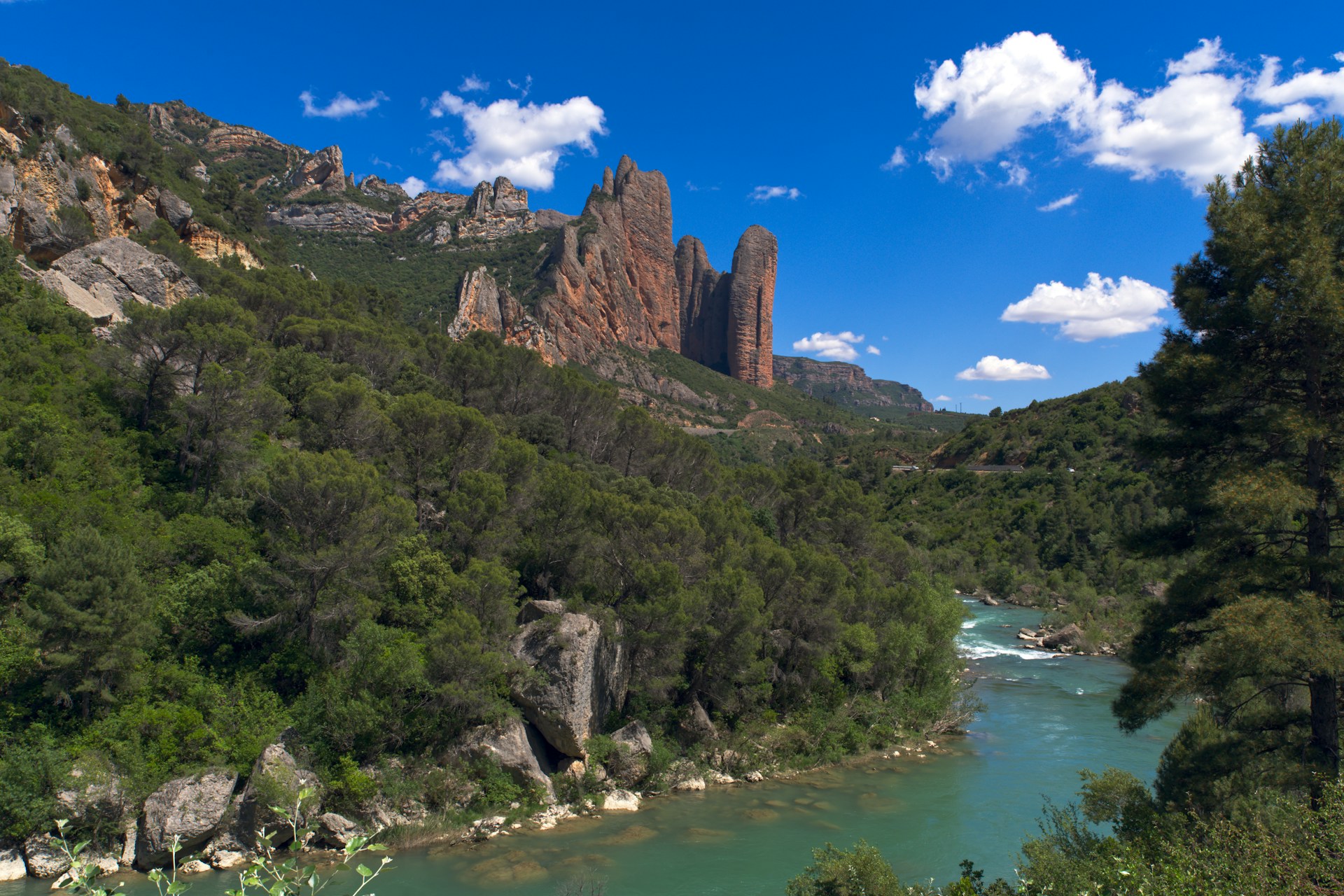 A river running through a lush green forest