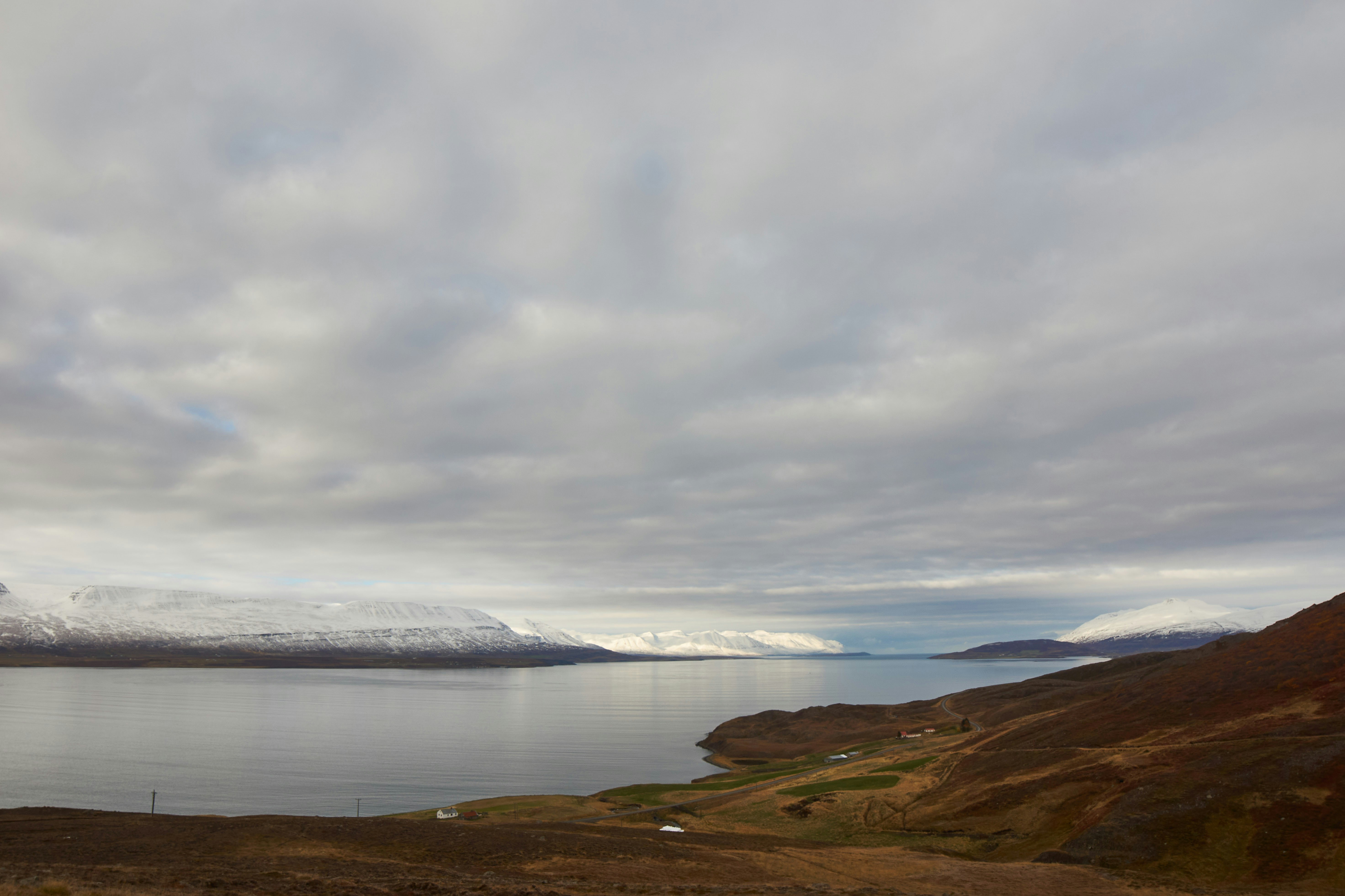 Photo by wolfgang_hasselmann