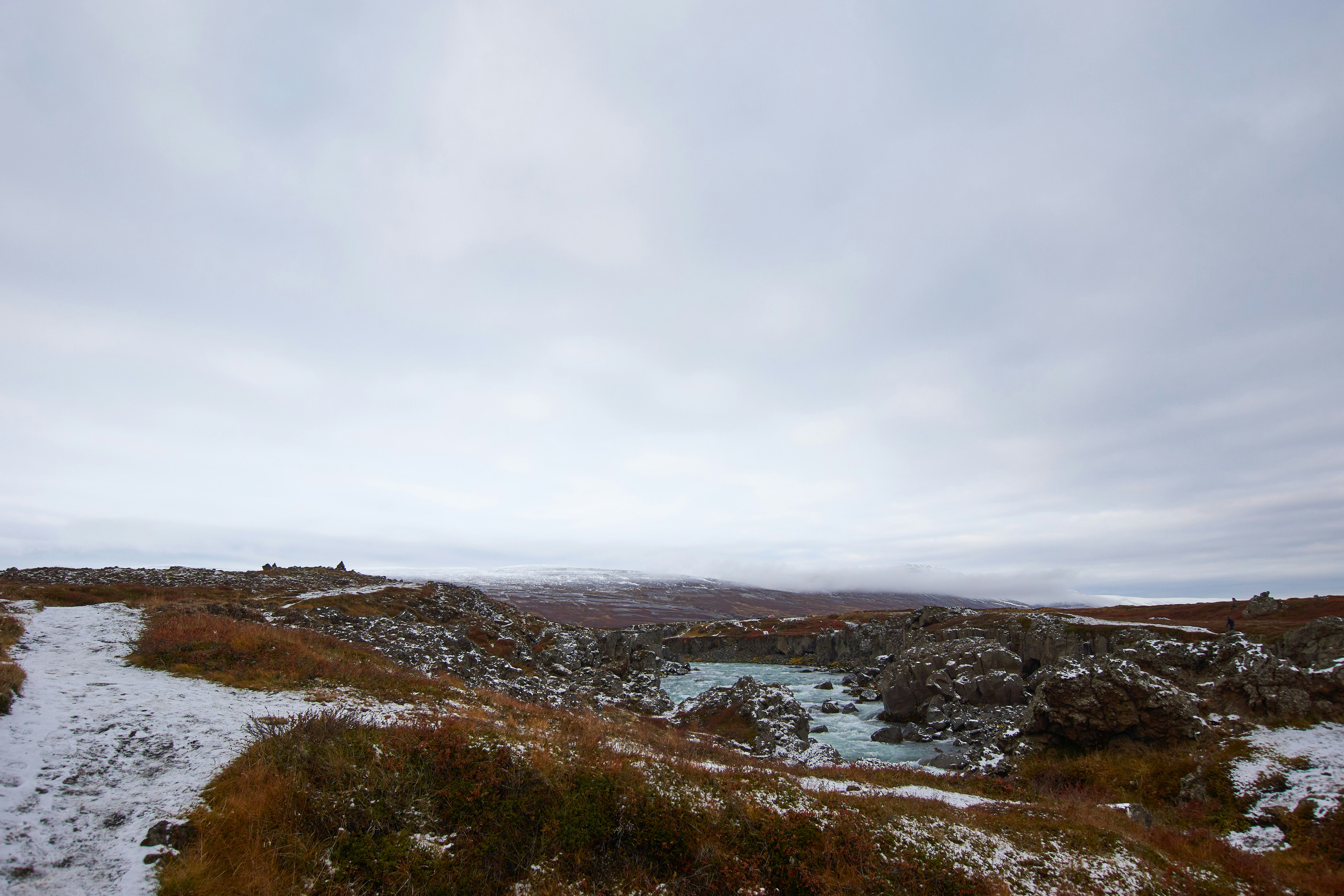 Photo by wolfgang_hasselmann