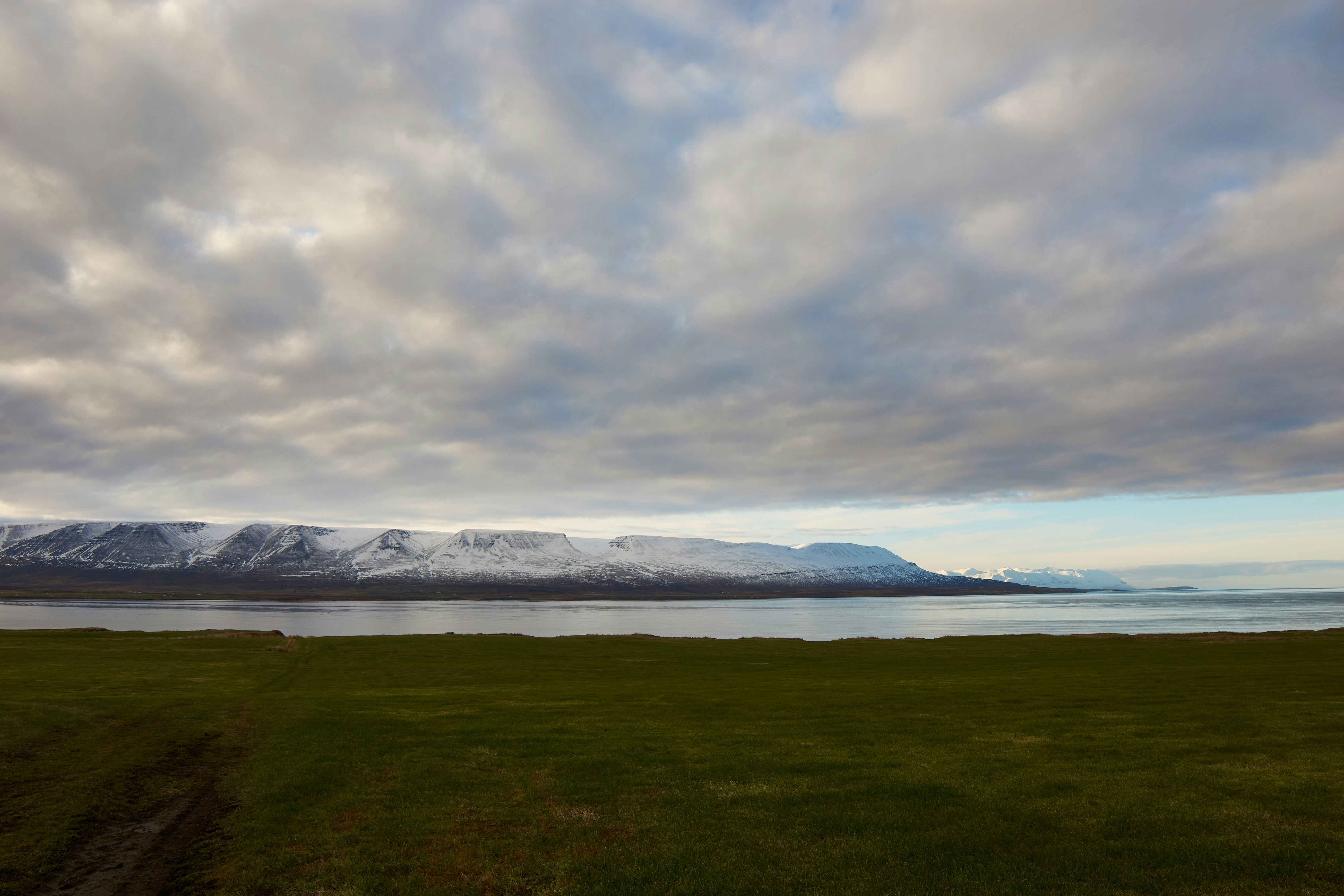 Photo by wolfgang_hasselmann