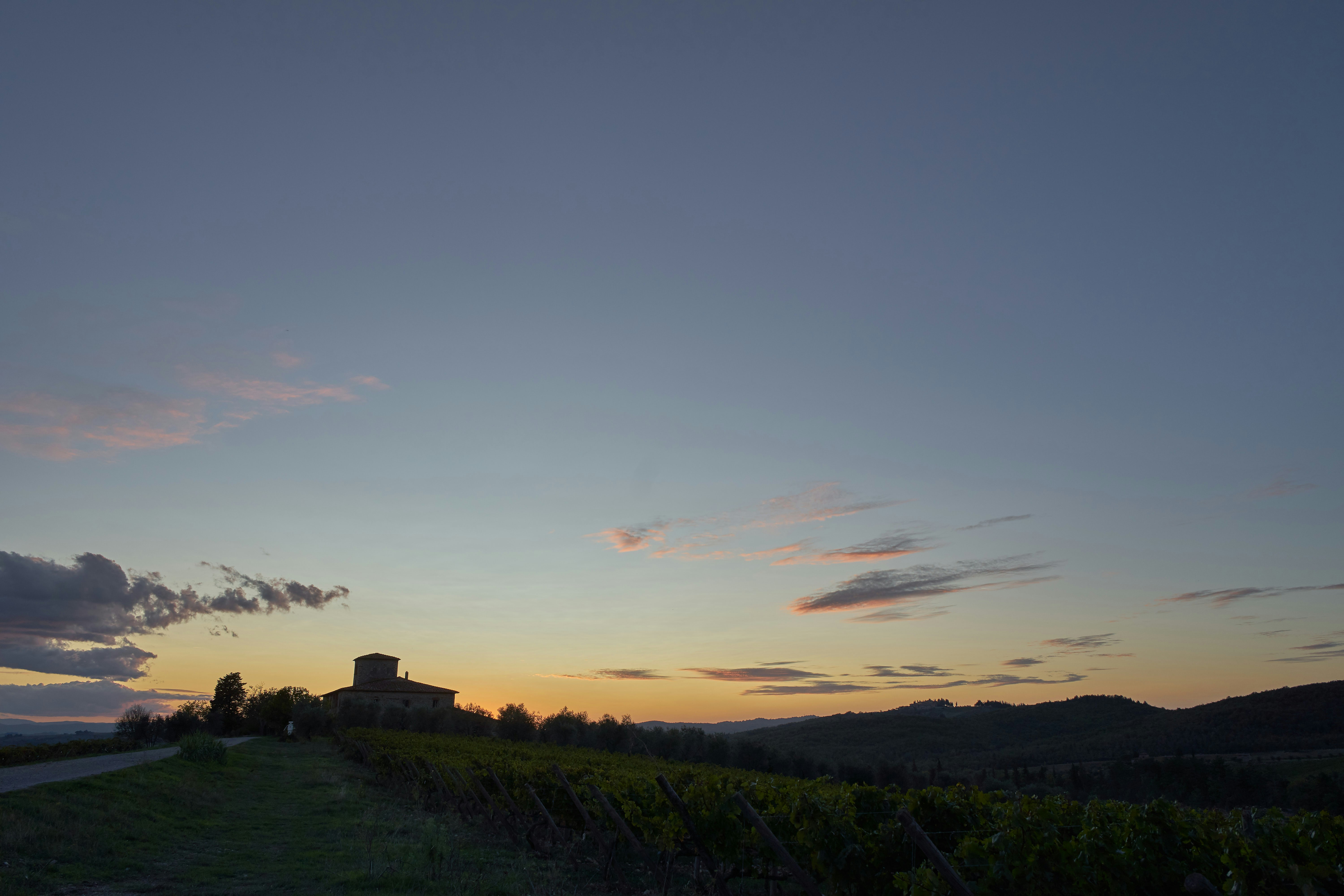 Photo by wolfgang_hasselmann