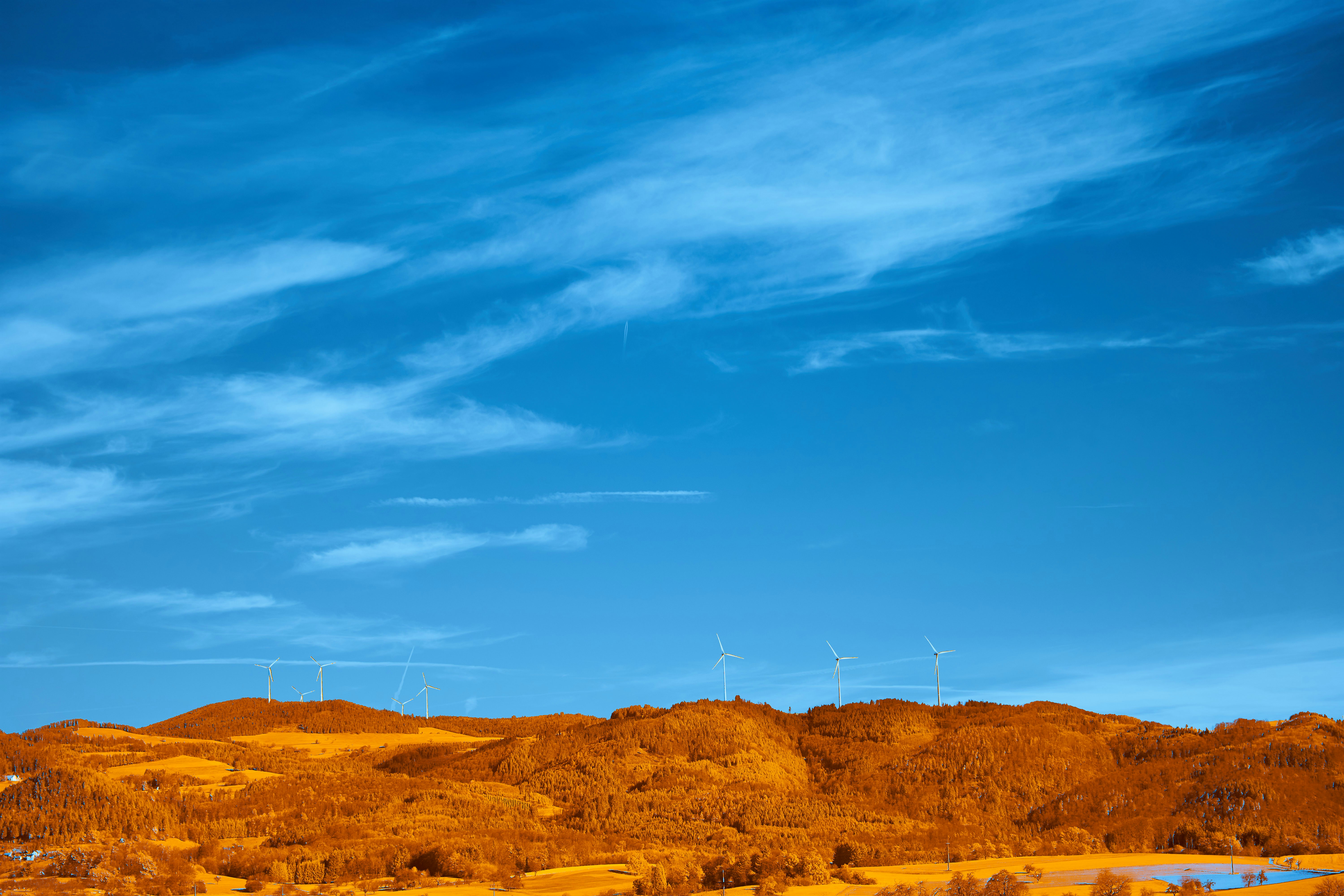 Photo by wolfgang_hasselmann