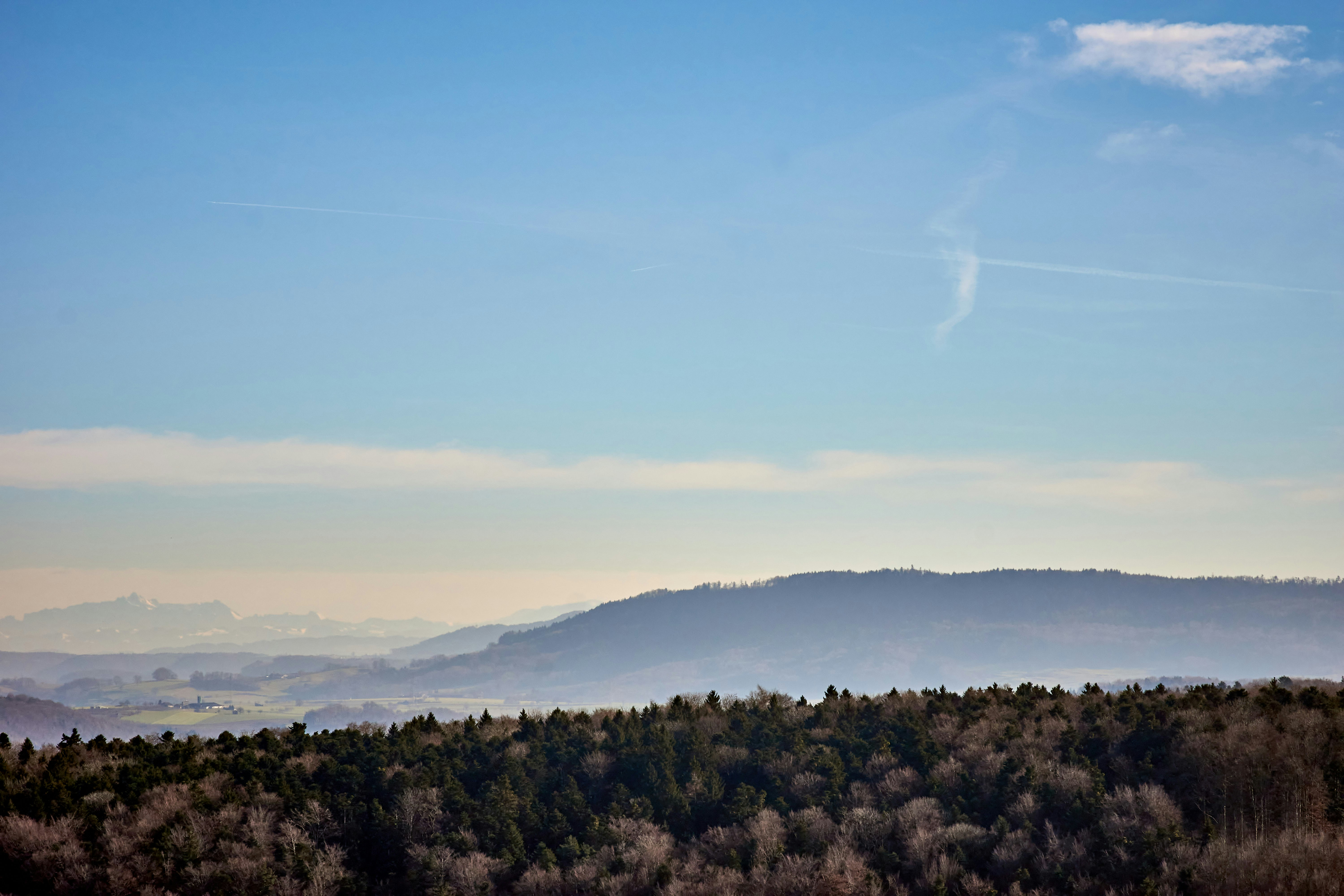 Photo by wolfgang_hasselmann