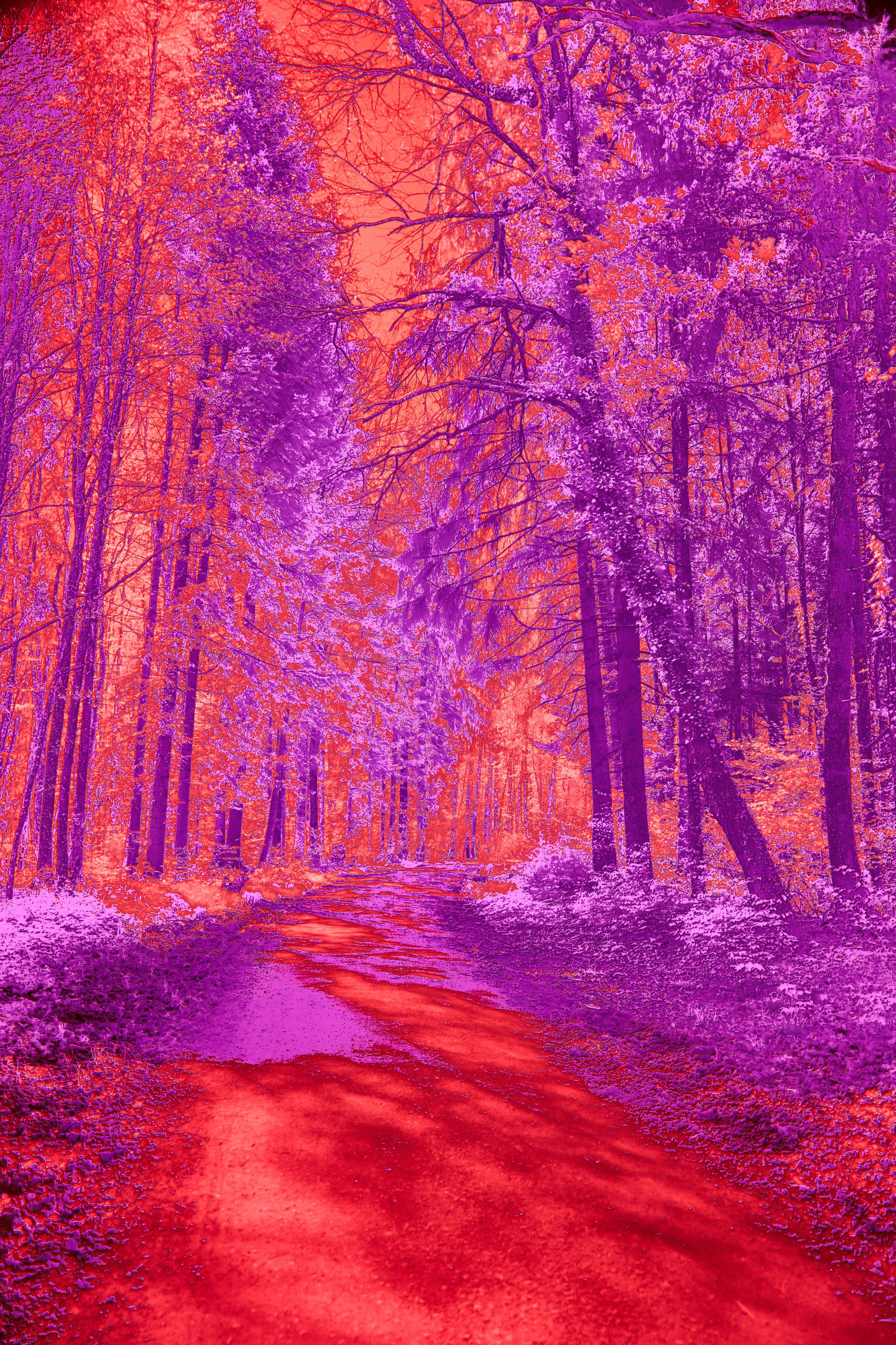 Photo by wolfgang_hasselmann