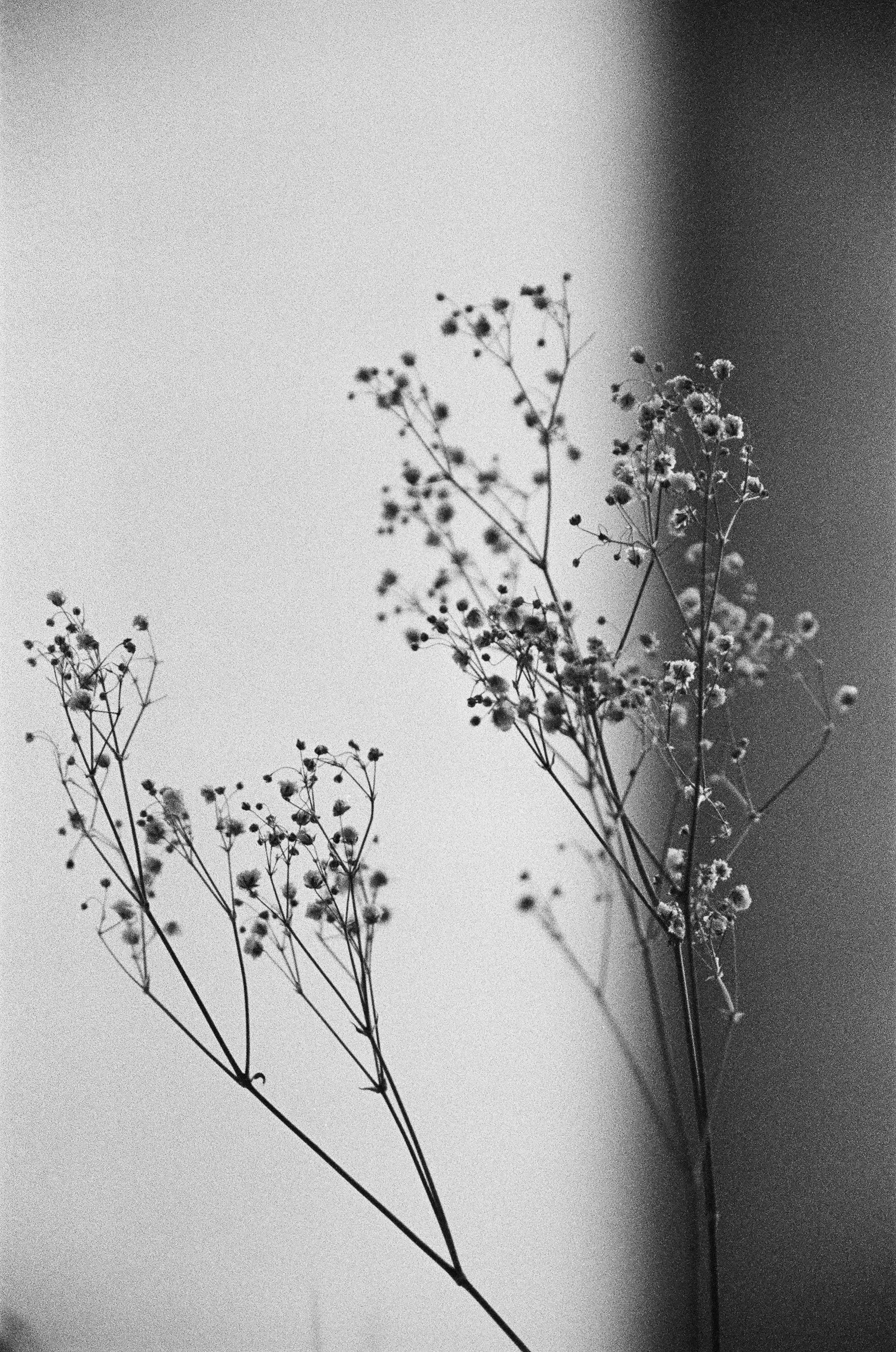 Photo by annaoguienko