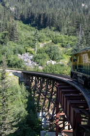 A train traveling over a bridge in a forest