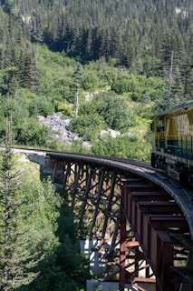 A train traveling over a bridge in a forest