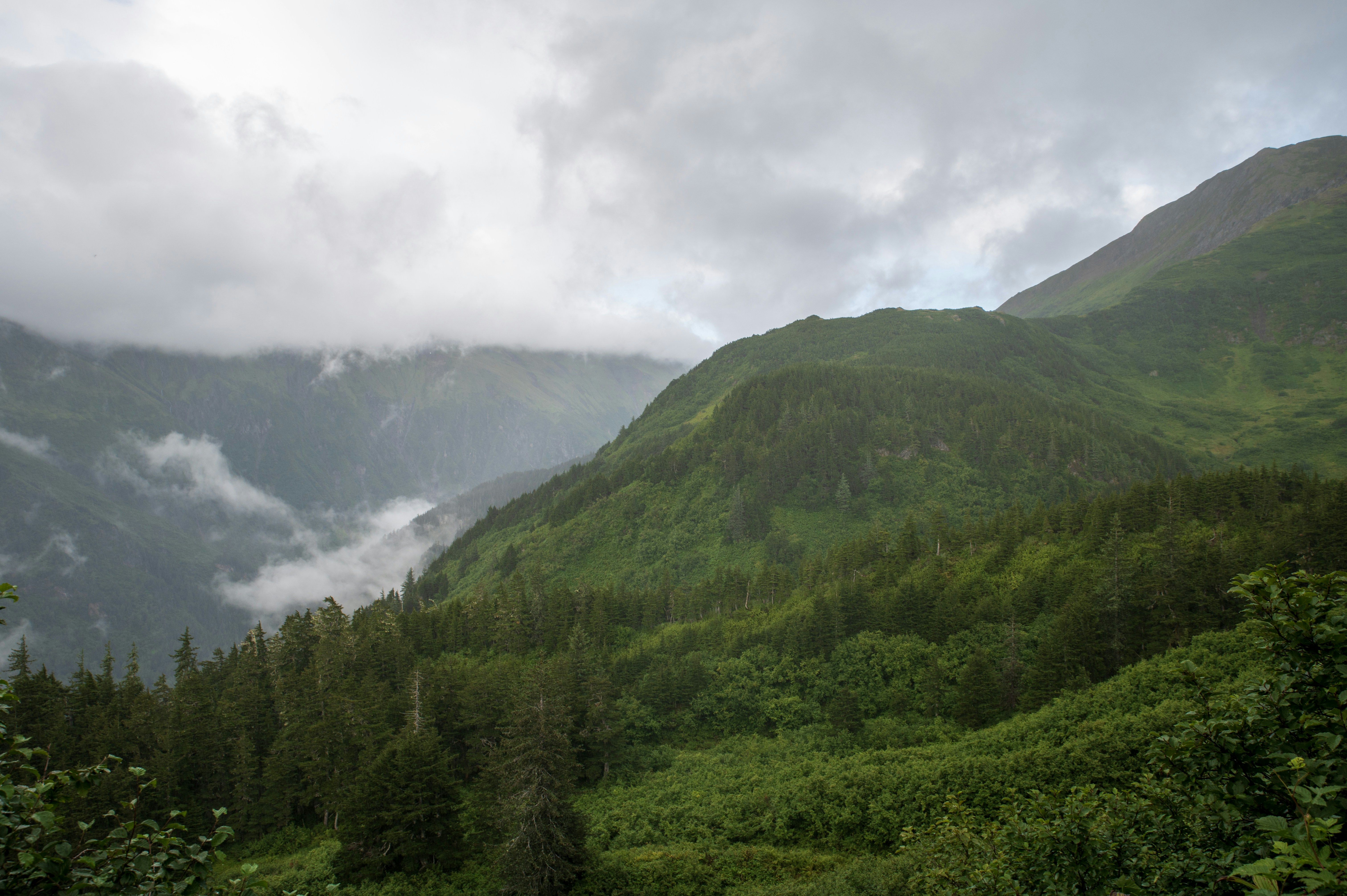 Photo by tracminhvu