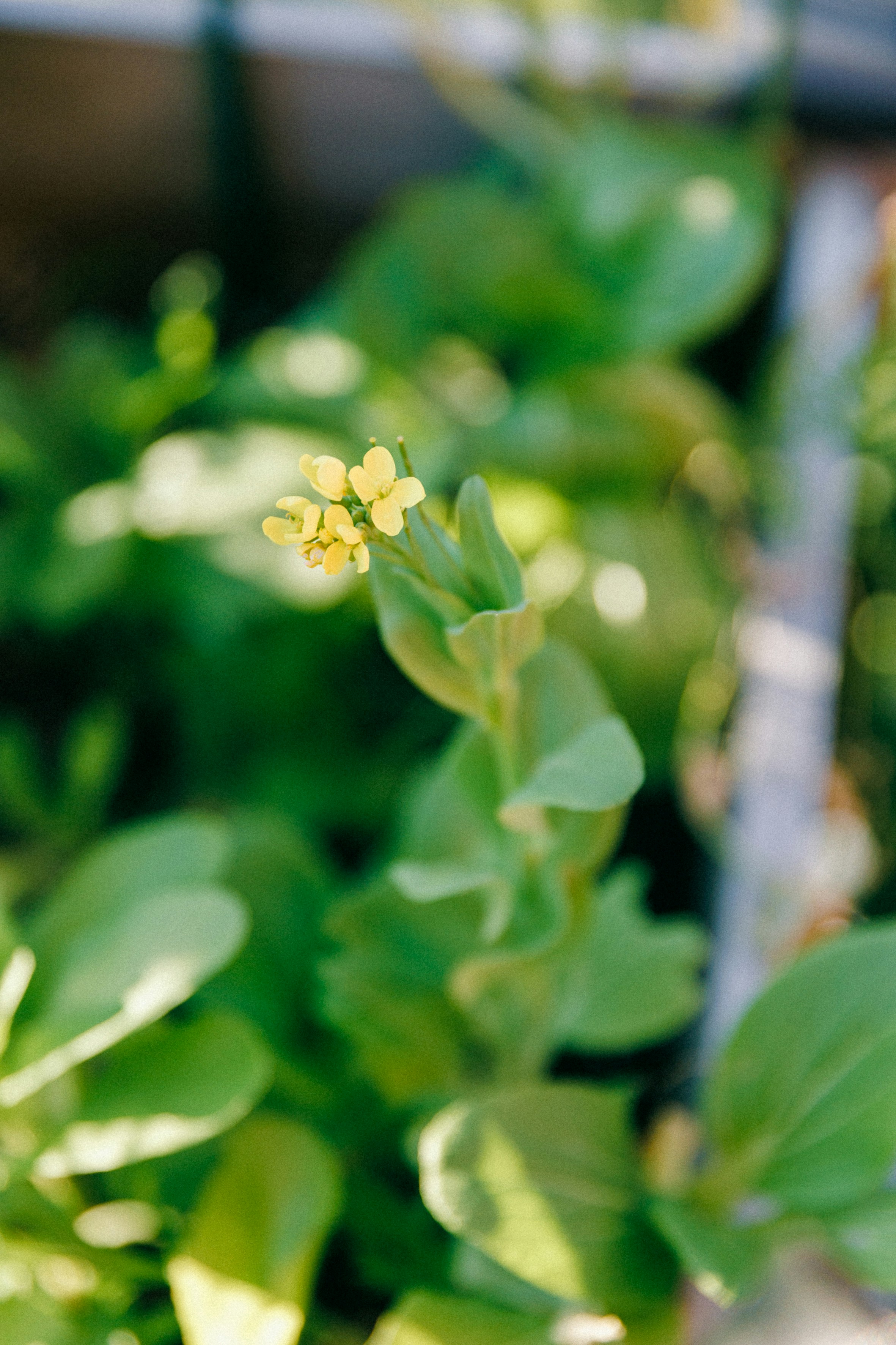 gray computer monitor