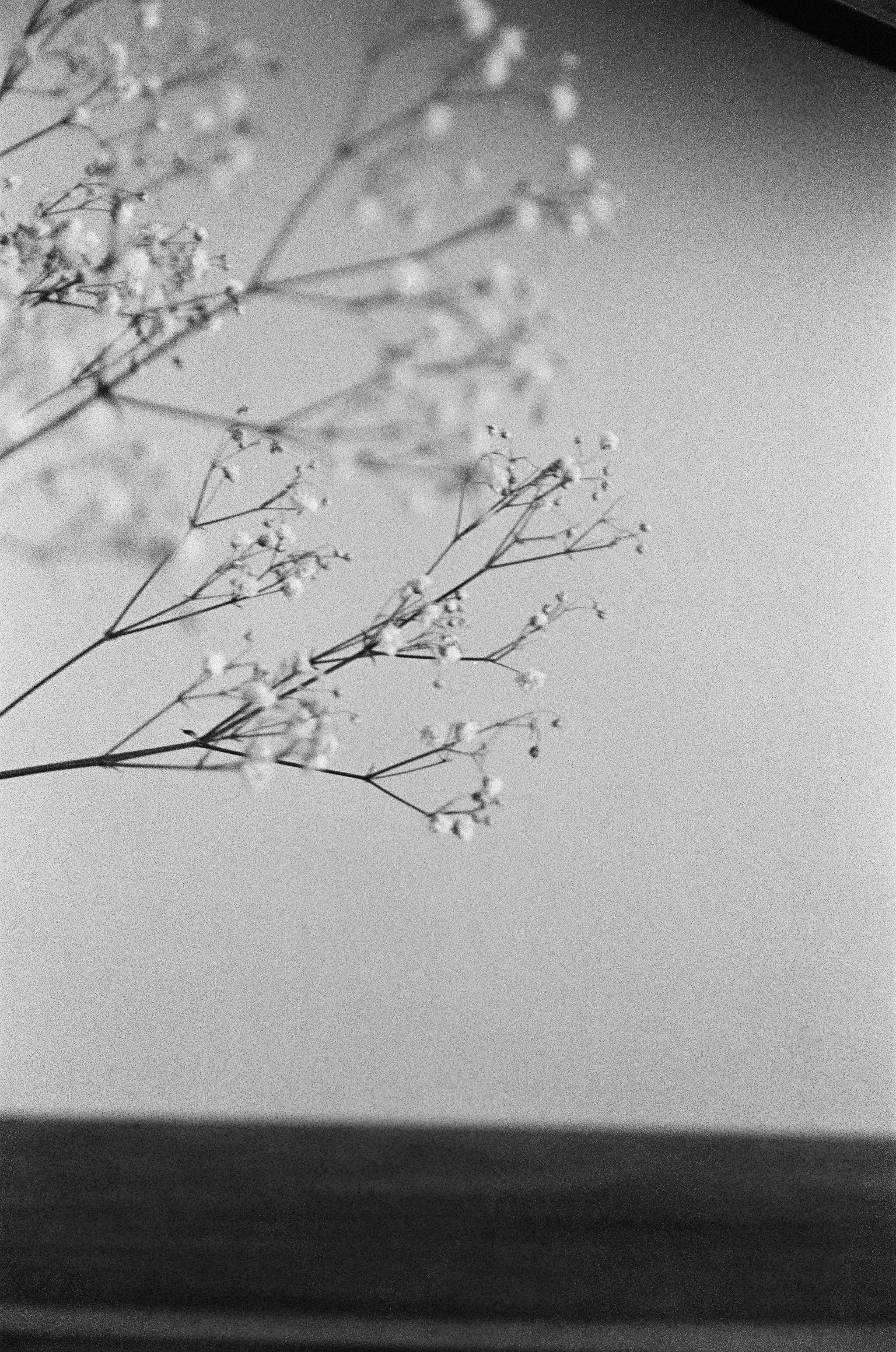 Photo by annaoguienko