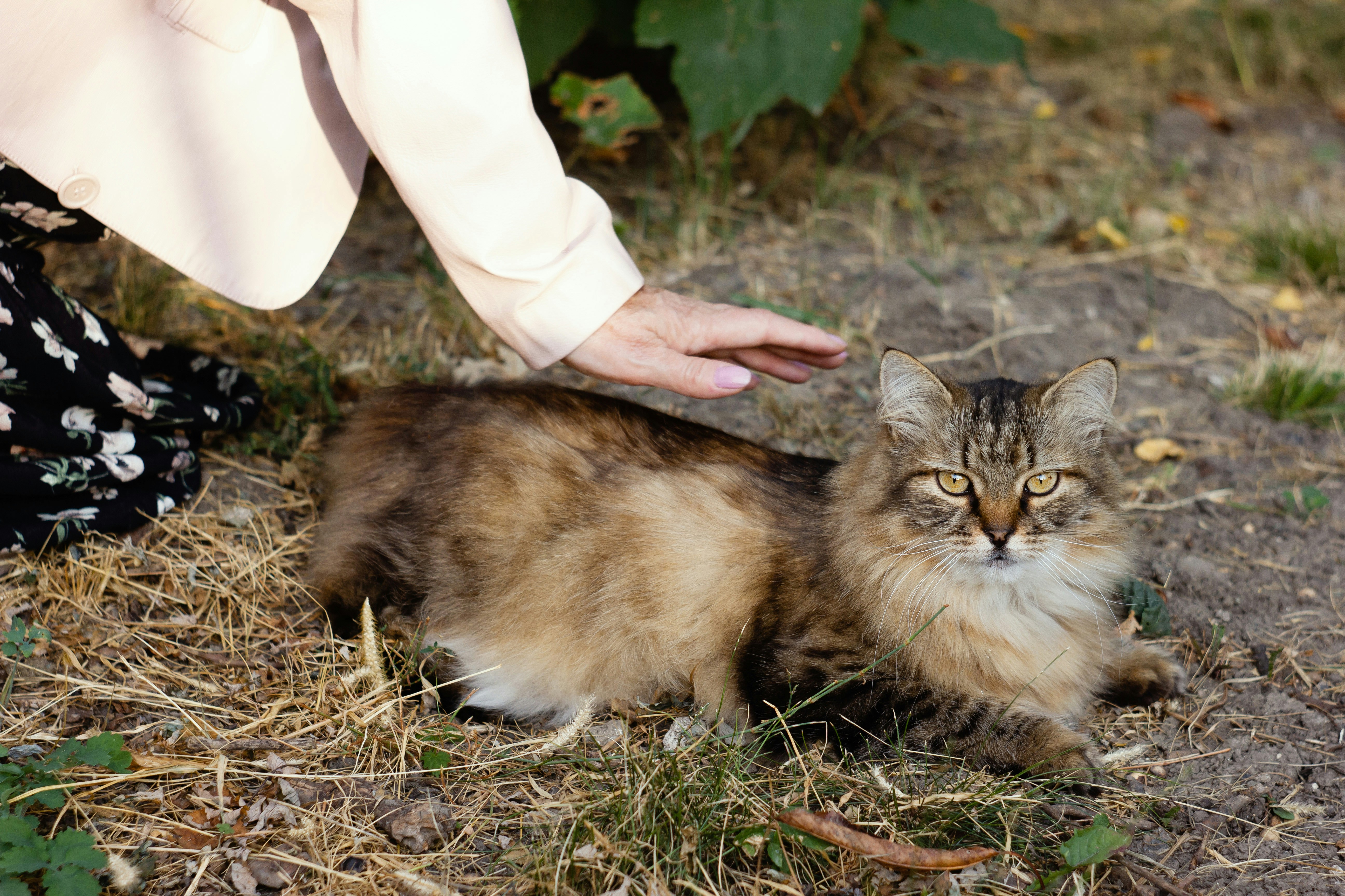 Socialization and Early Experiences (image credits: unsplash)