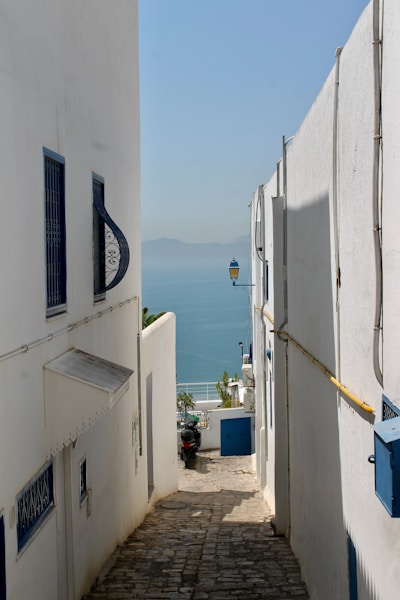 Ruelle de Sidi Bou Saïd
