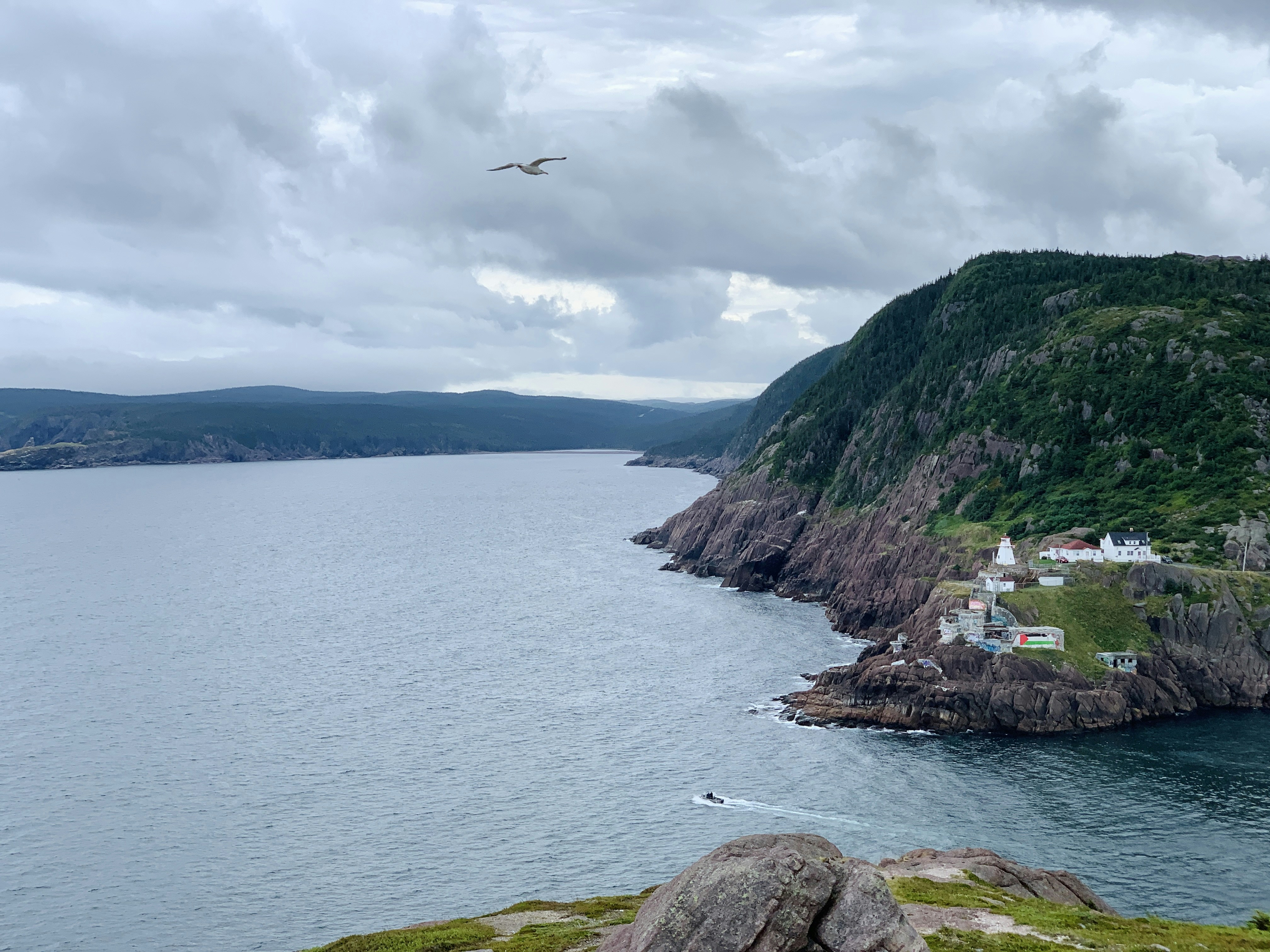 Deer Lake, NL