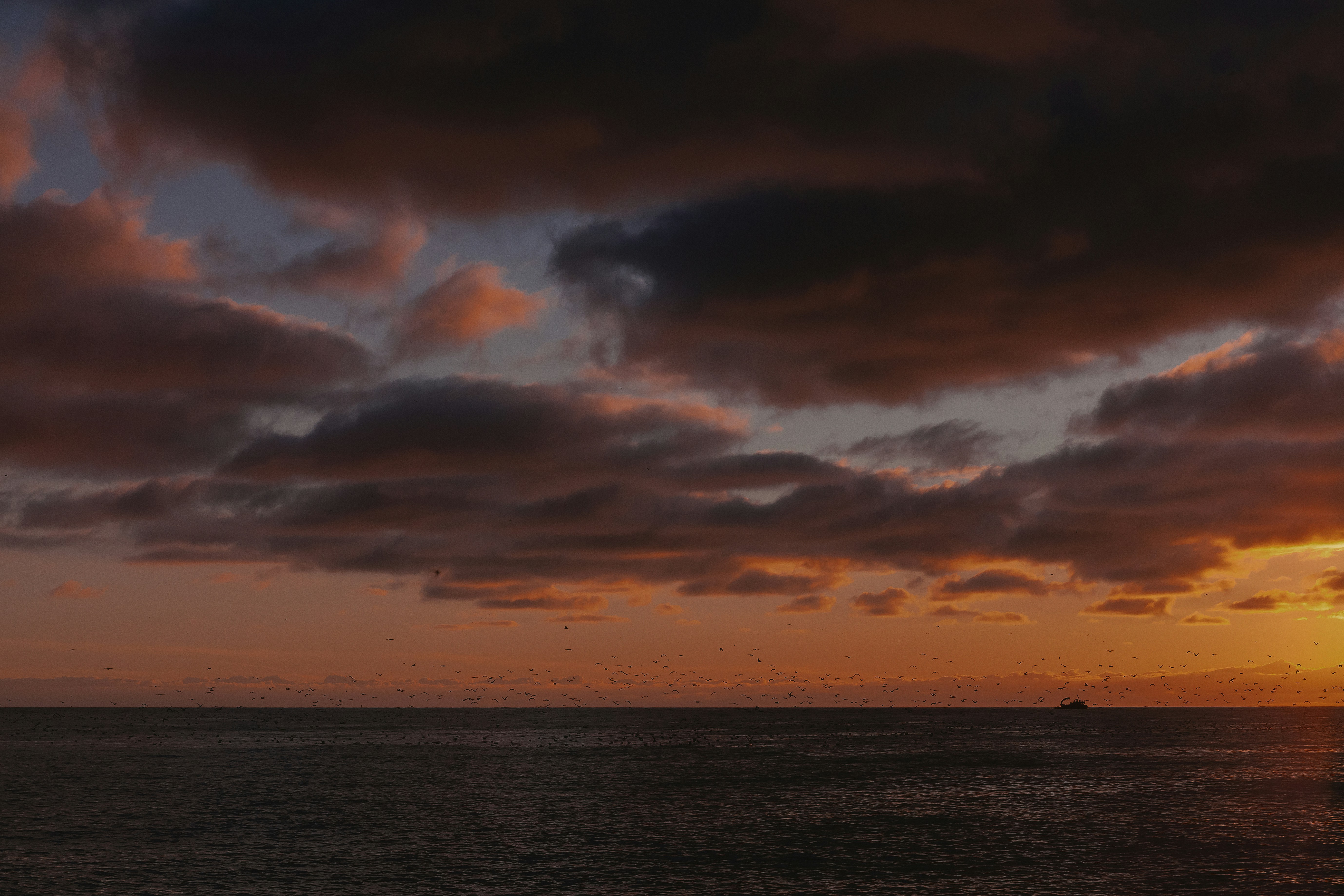 Photo by vbelomyttseva