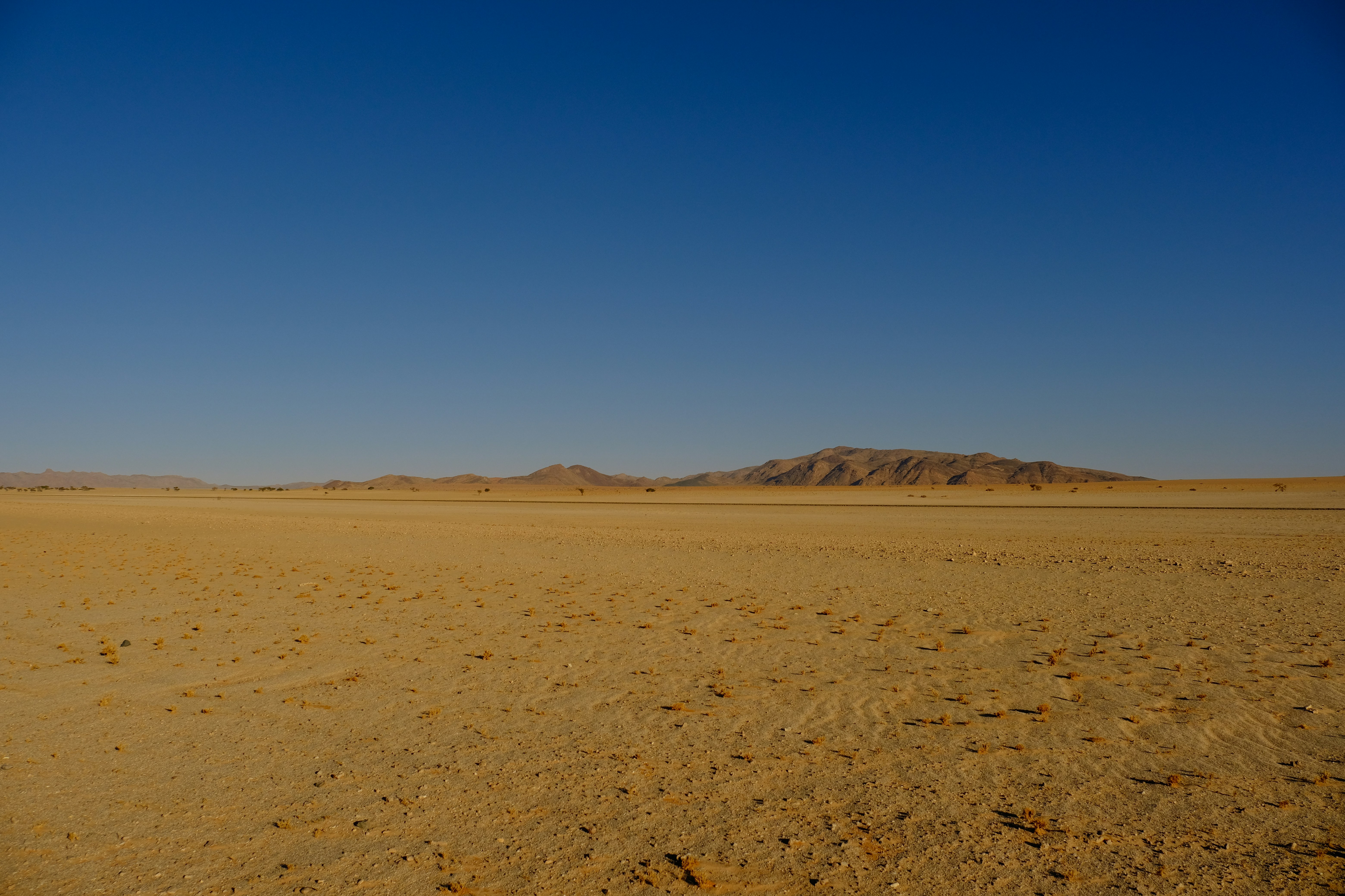 Photo by francesco_ungaro