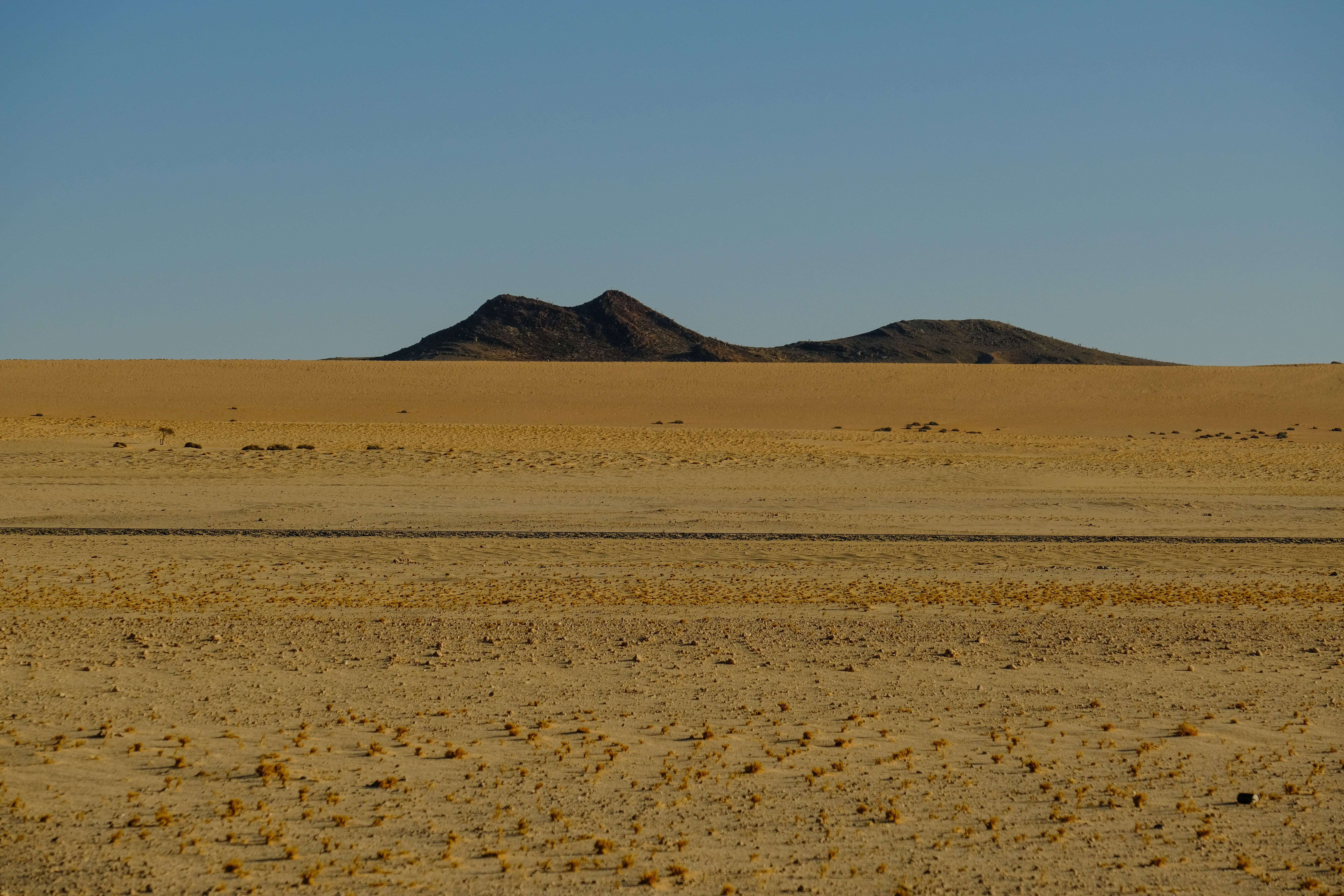 Photo by francesco_ungaro