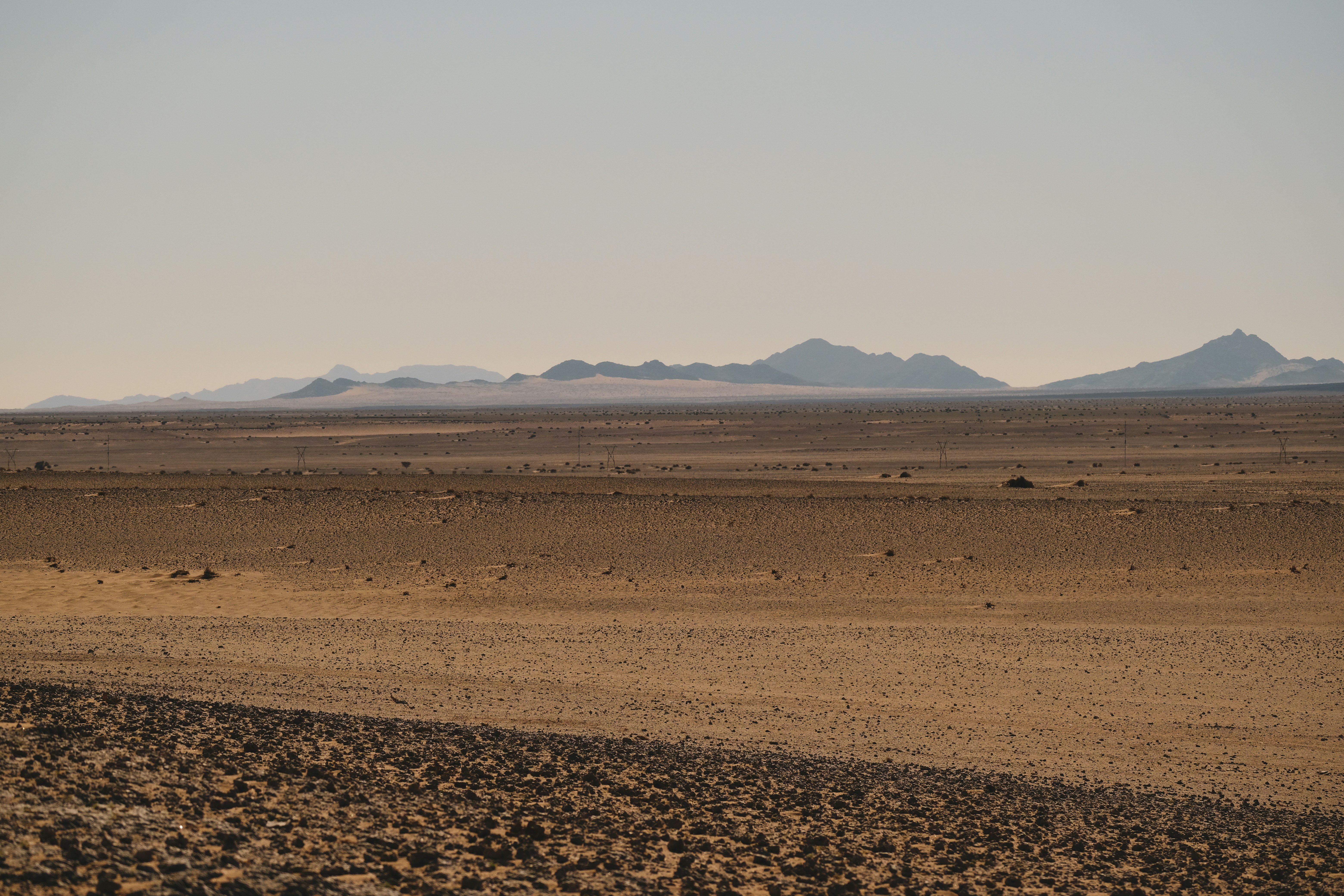 Photo by francesco_ungaro